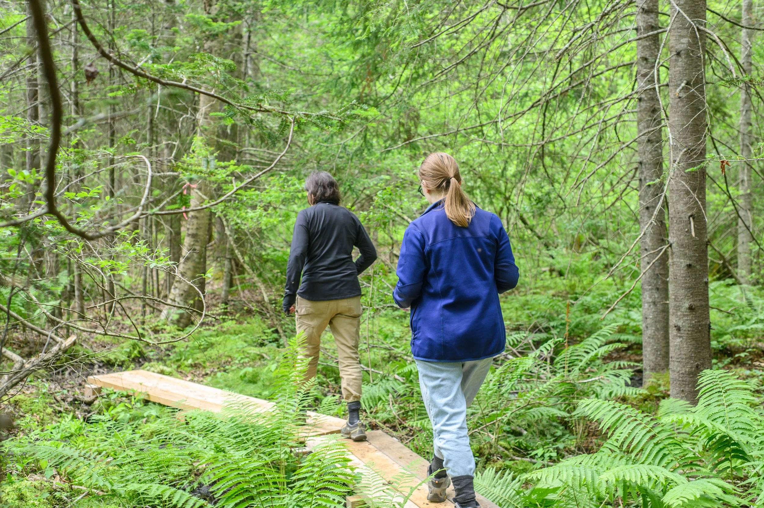 Chandler Preserve, Chebeague