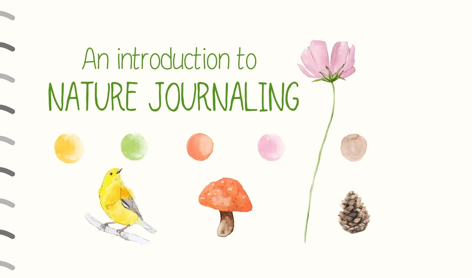 An Introduction to Nature Journaling