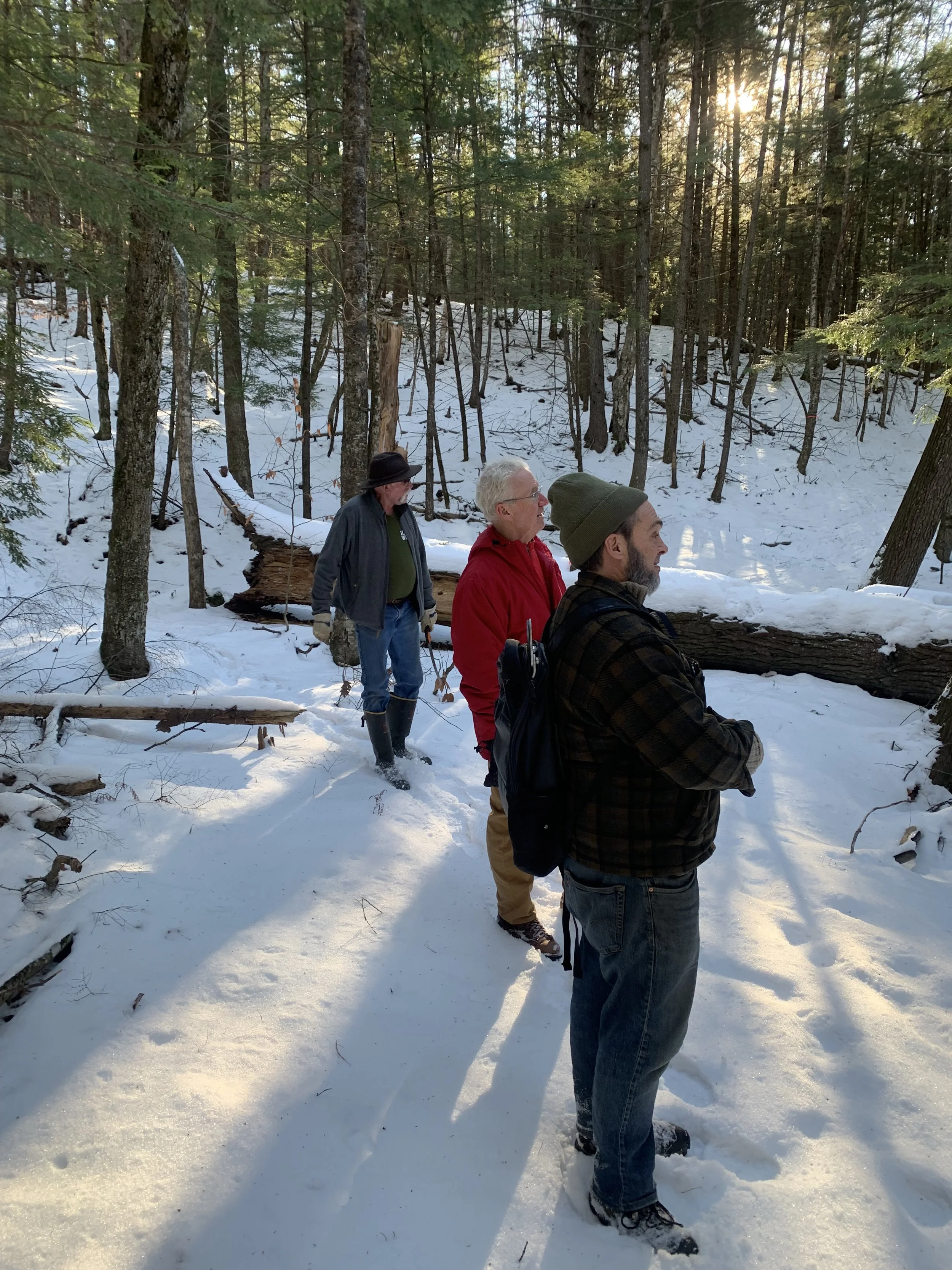 Trail Crew - Watson Woods Trail Building