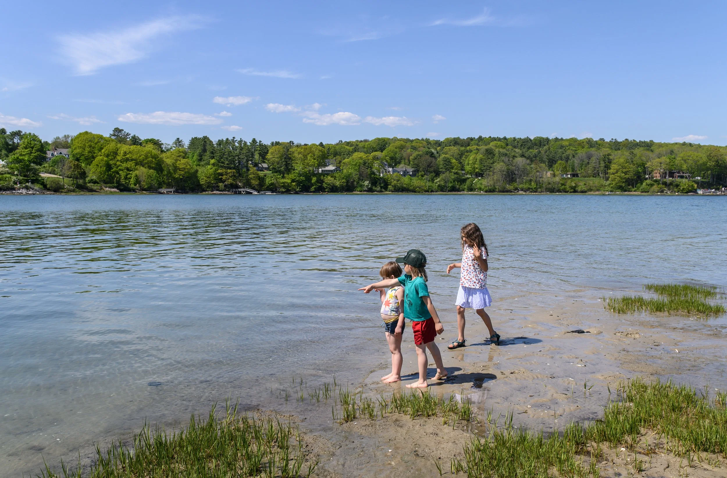 horseshoecrabsGONW_0042 (1).jpg