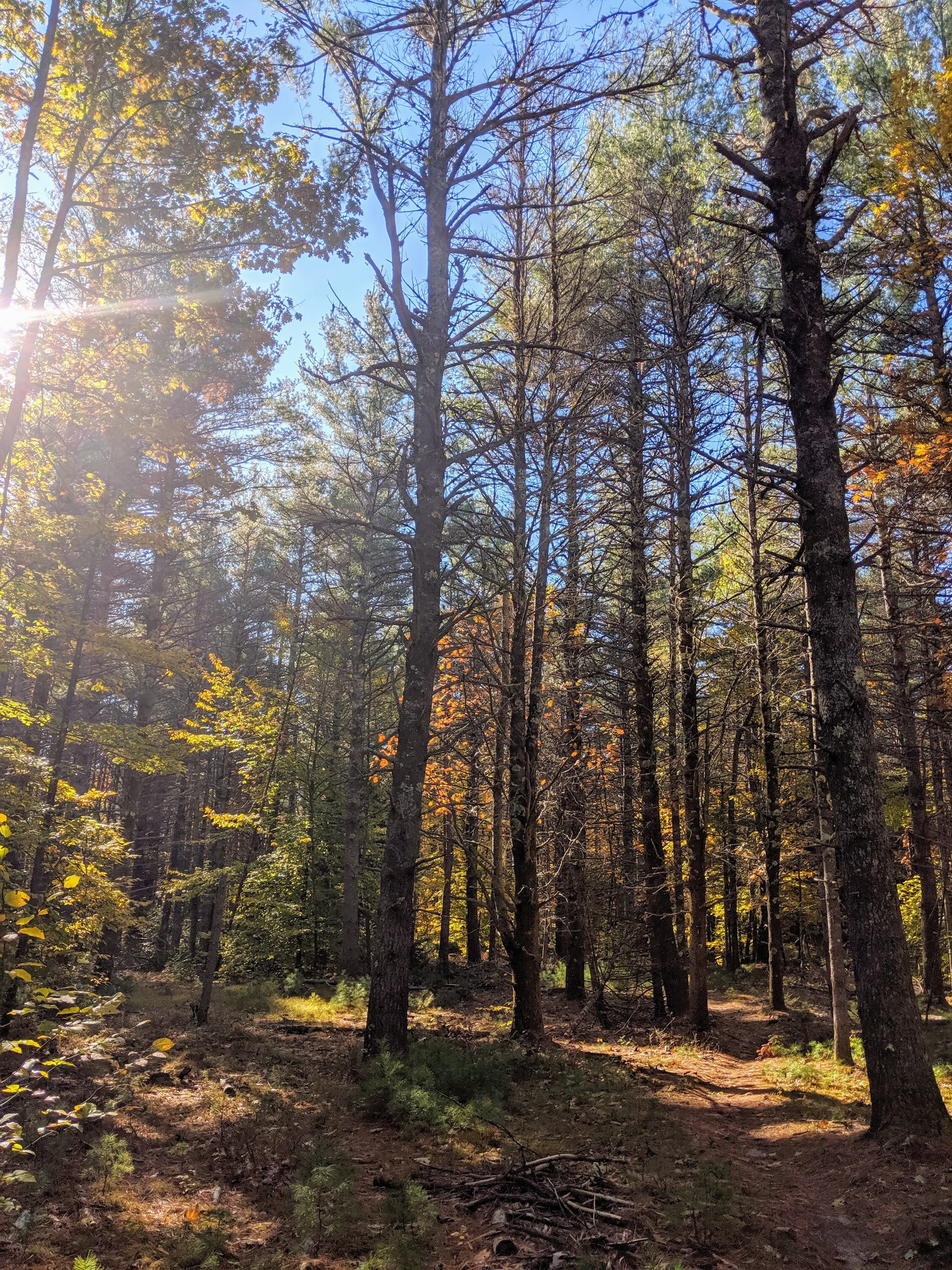 IMG_20191019_100002 (1).jpg