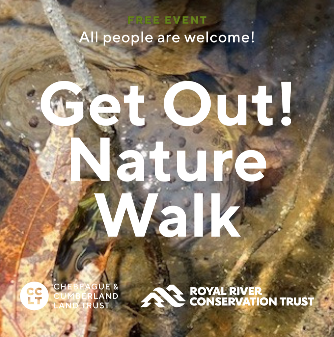 Get Out! Nature Walk: Vernal Pools