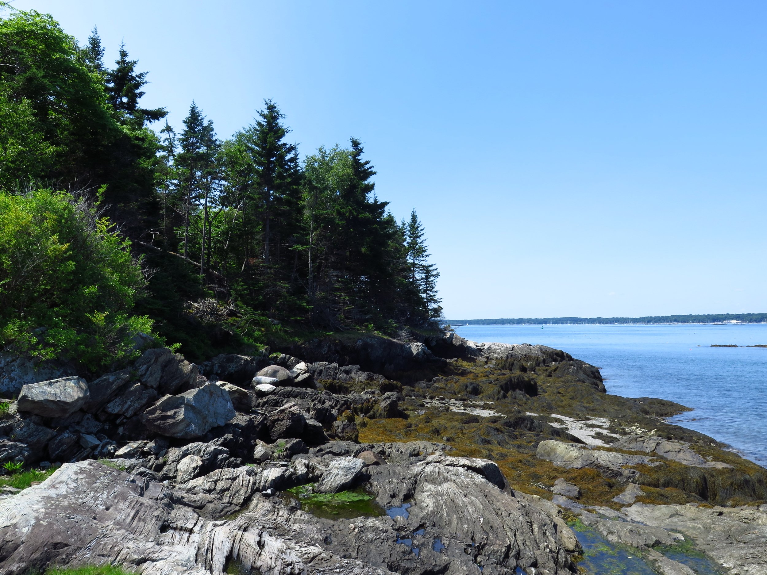 A Basket Picnic! Paddle to Basket Island With Portland Paddle