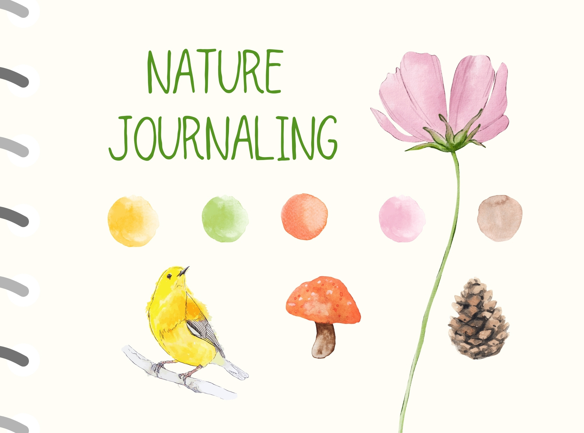 An Introduction to Nature Journaling