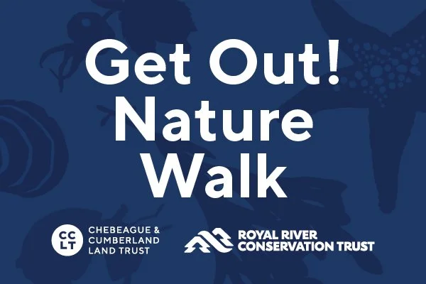 Get Out! Nature Walk: Winter Solstice