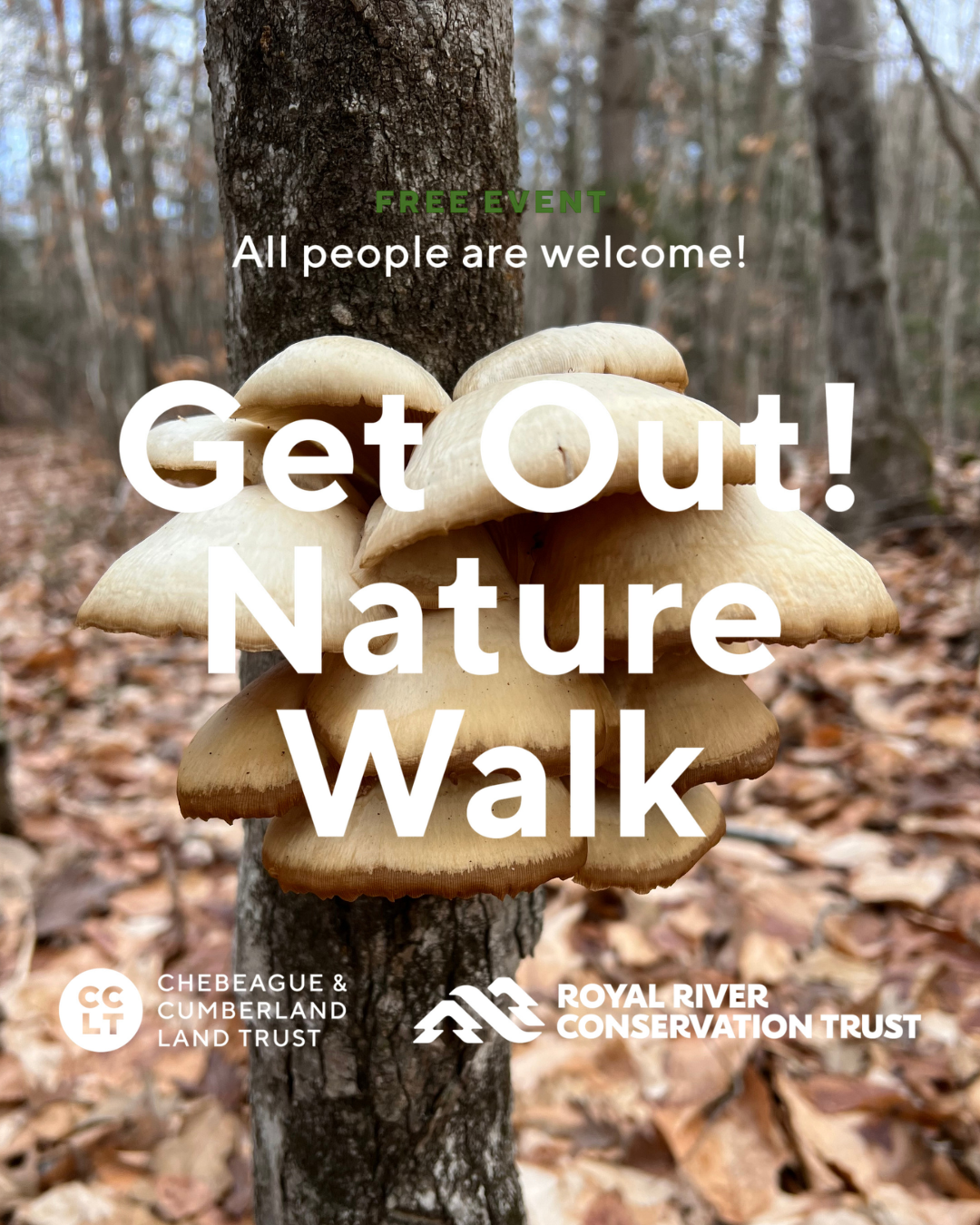 Get Out! Nature Walk: Mushrooms