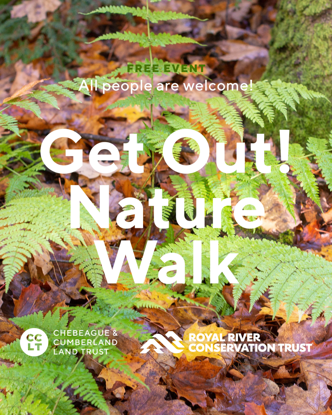 Get Out! Nature Walk: Ferns