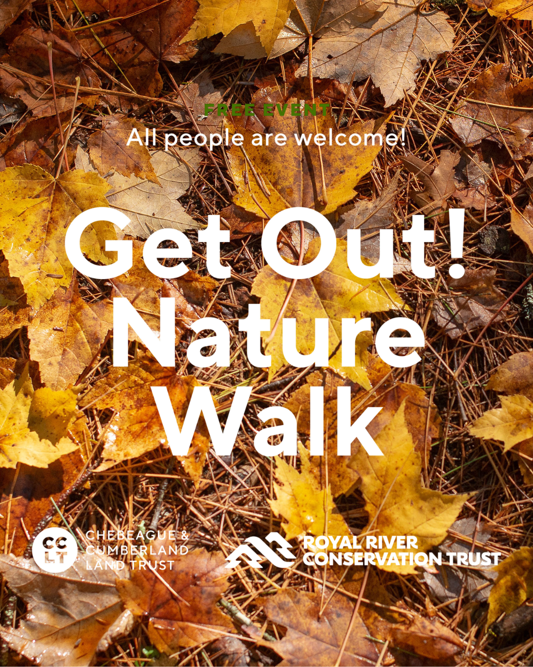 Get Out! Nature Walk: Woods in Autumn