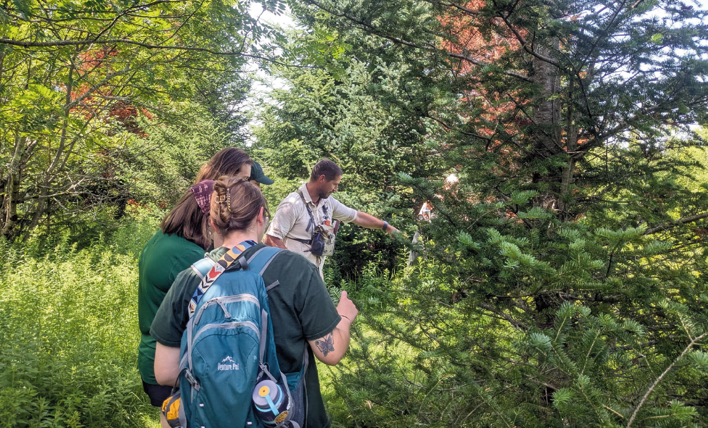 Casco Bay Wildlife Tracking Club