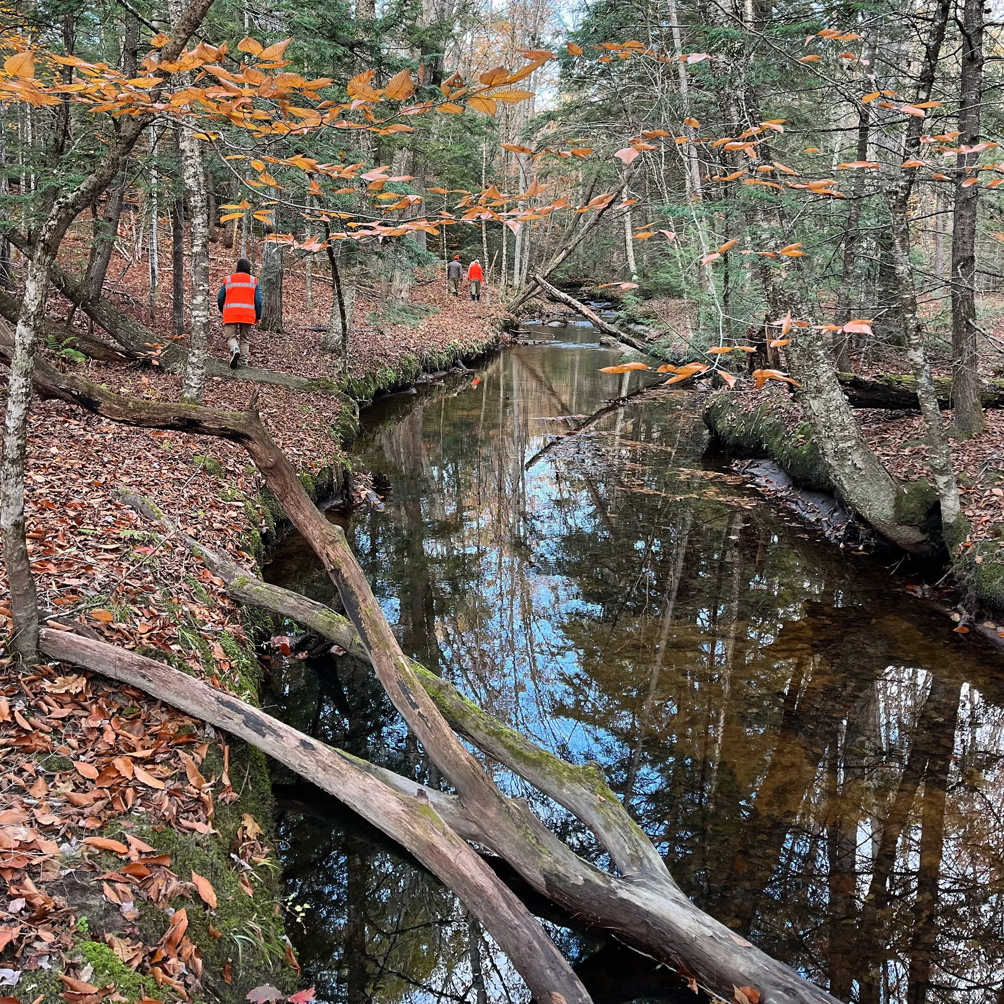 Trail Crew - Watson Woods Trail Building