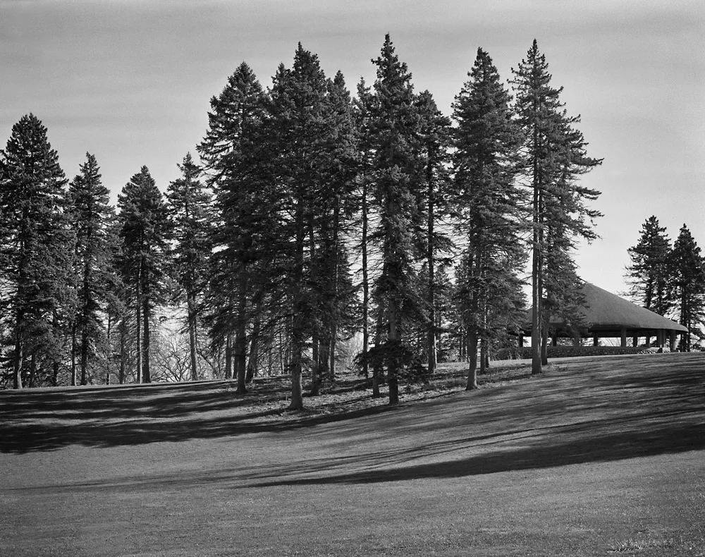 32165662863_4e8d907def_b.jpg