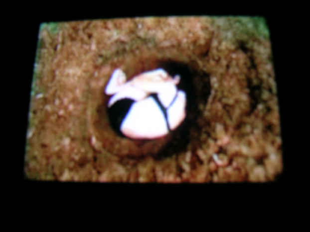 Cavando un hueco en el patio de mamá (Video Still), 2004