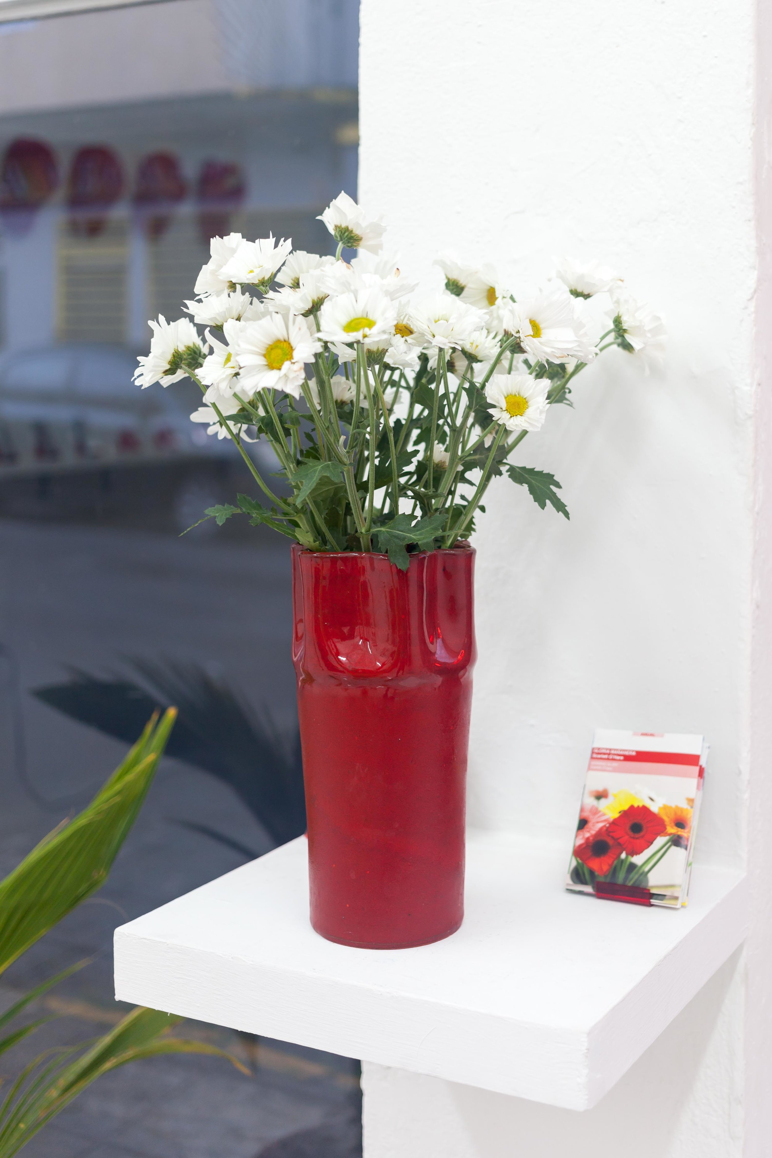 Florero y semillas por Mariana Murcia