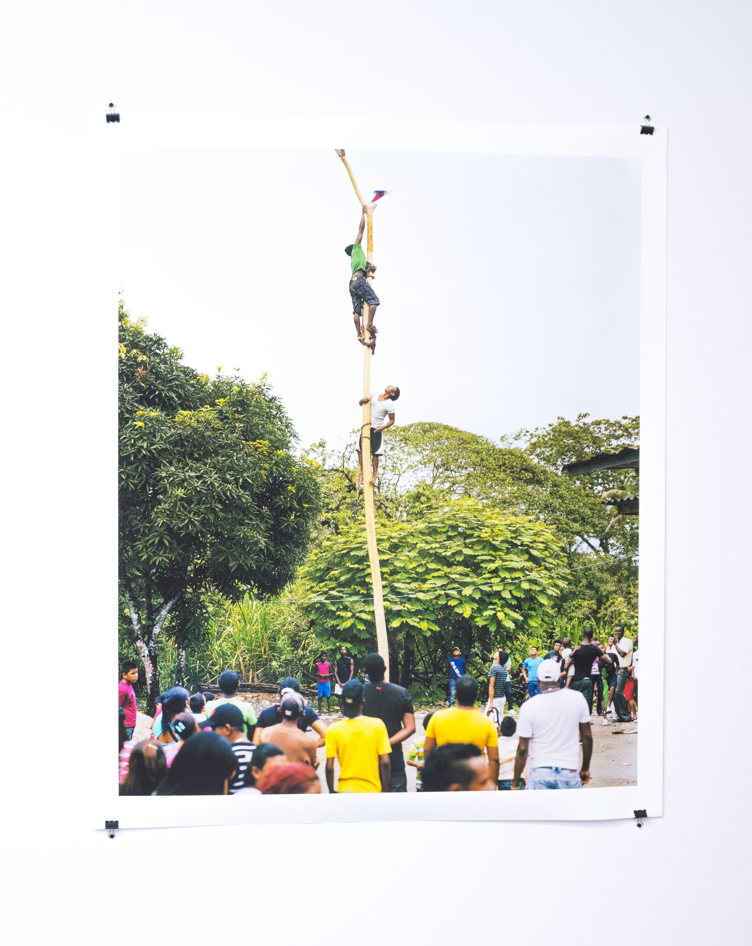 Palo encebao' Maria Chiquita, 2016 / Inkjet print on enhance paper / 54 3/10 x 44 9/10 in