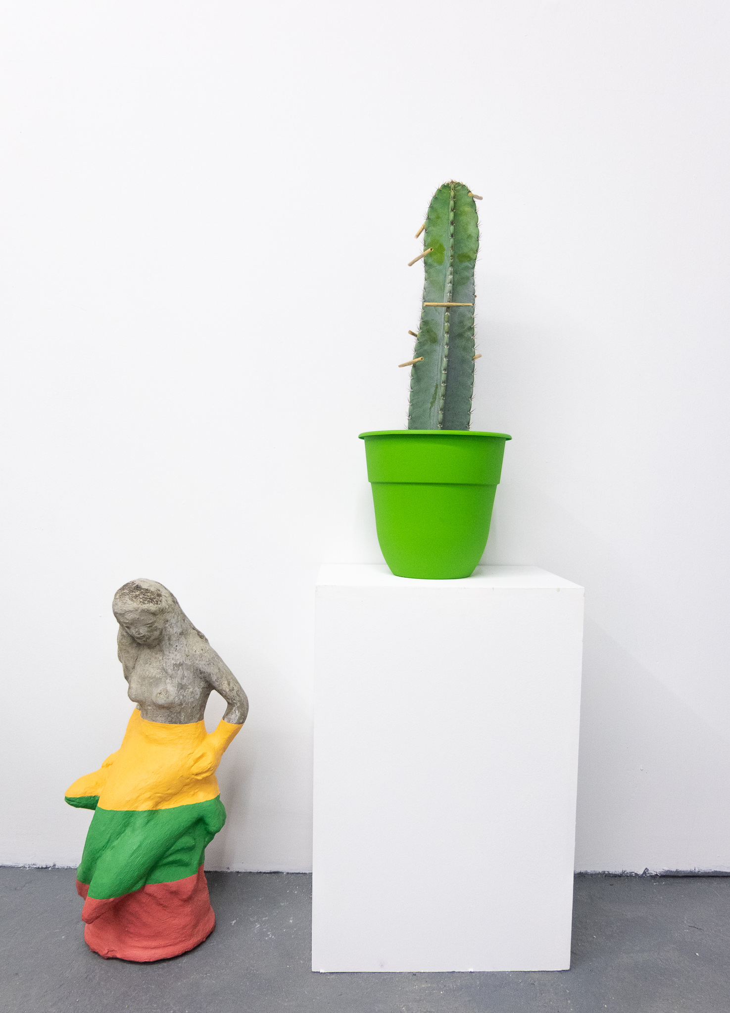Rene y Melissa Sandín / La Venus de Humacao / Cemento y acrílico / Medidas variables Stefan Benchoam / Sin título, 2016 / Cactus con porros / Medidas variables