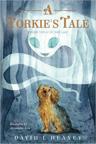 A Yorkie's Tale