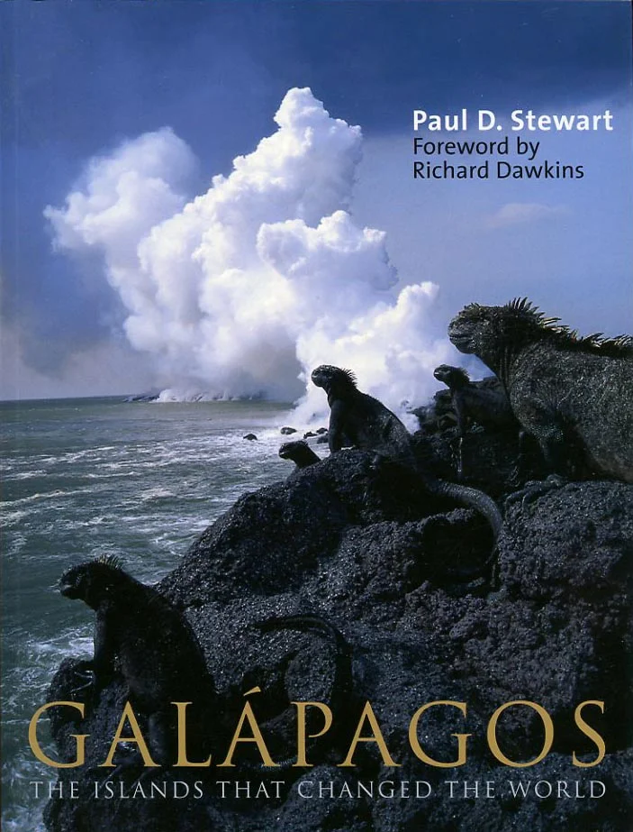 Author Interview with David Ricciardi | Number one on his bucket list