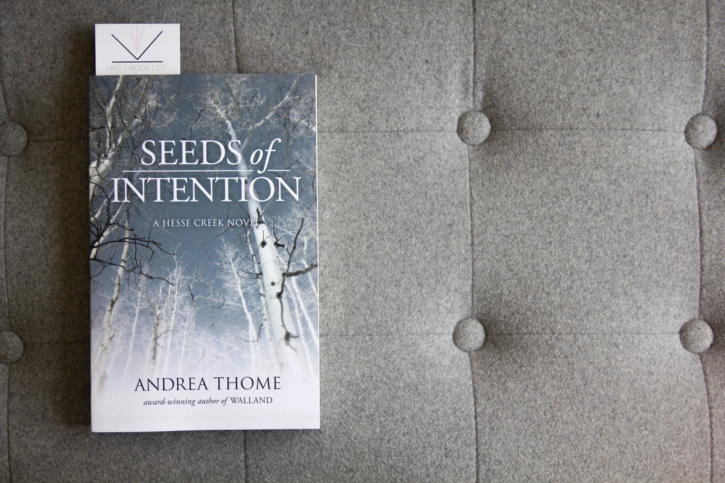 Book Feature - Seeds of Intention by Andrea Thome