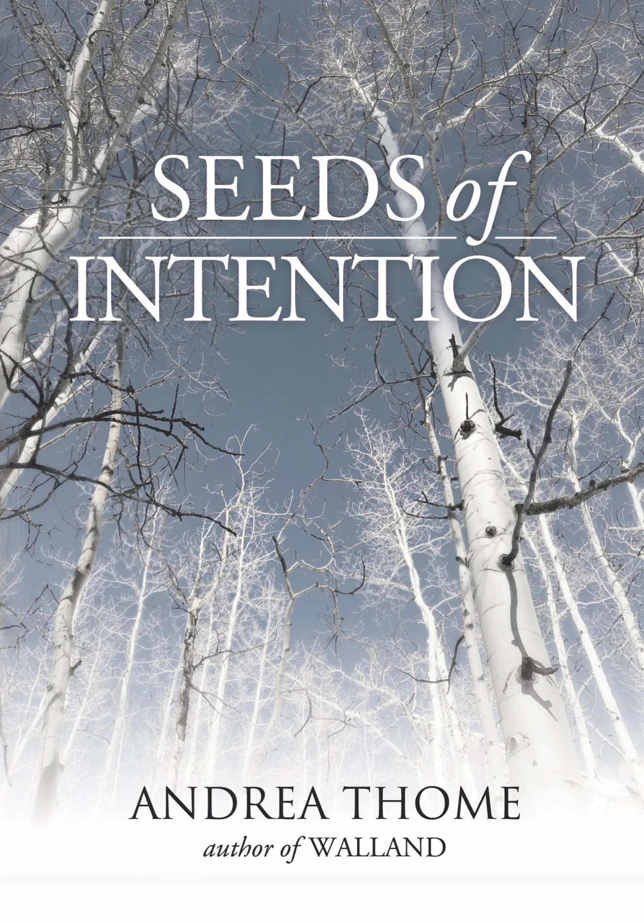 Book Feature - Seeds of Intention by Andrea Thome