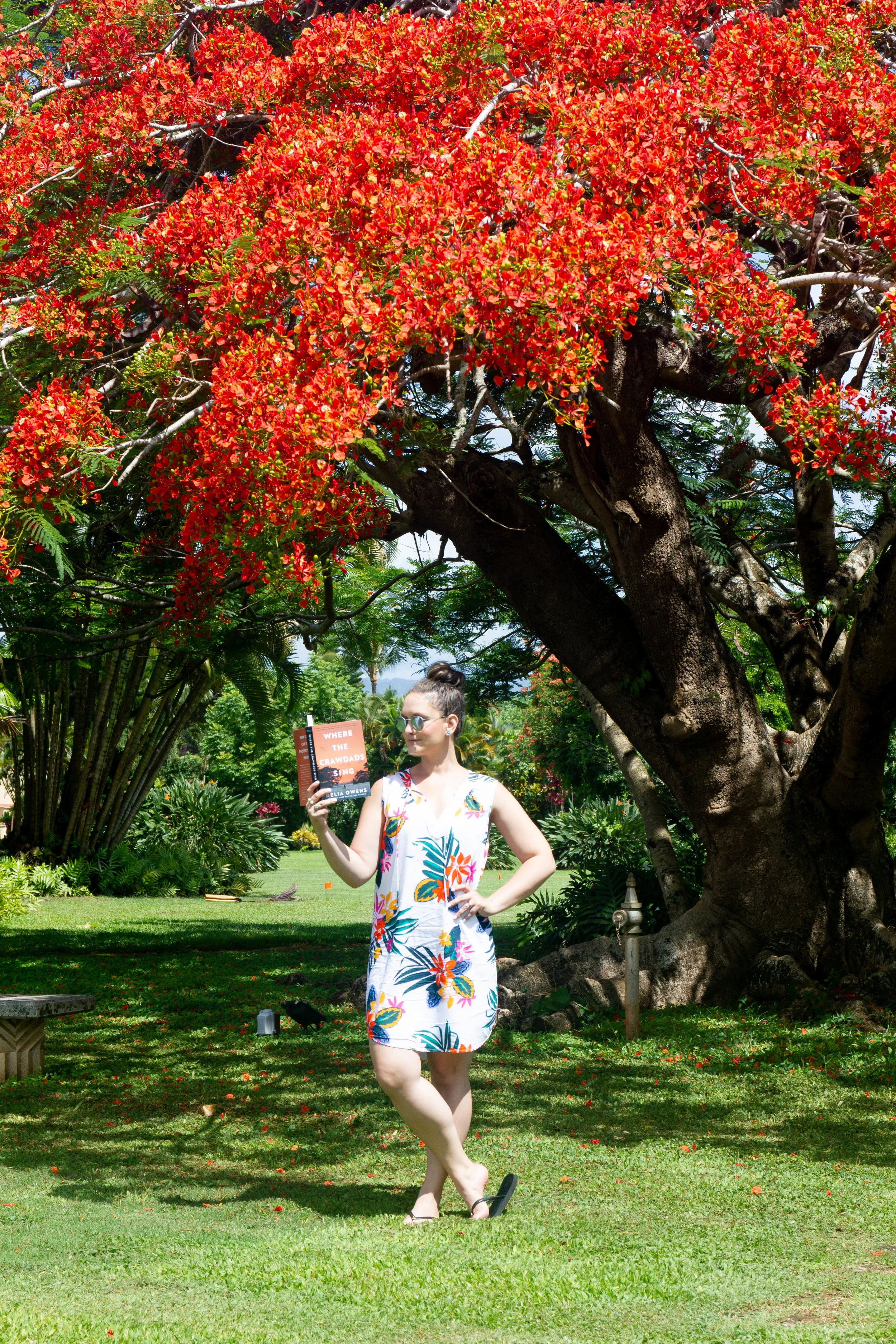 Reading Where the Crawdads Sing by Delia Owens at the Kilohana Plantation in Kauai