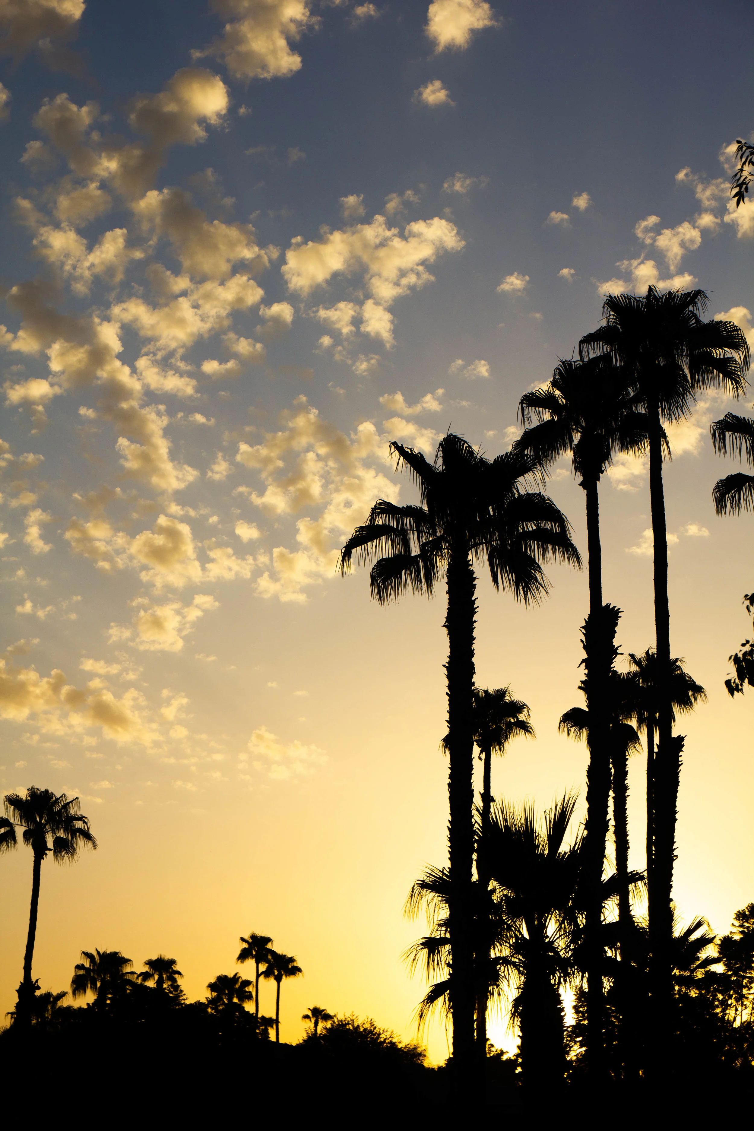 Literary Travel Guide: Palm Springs