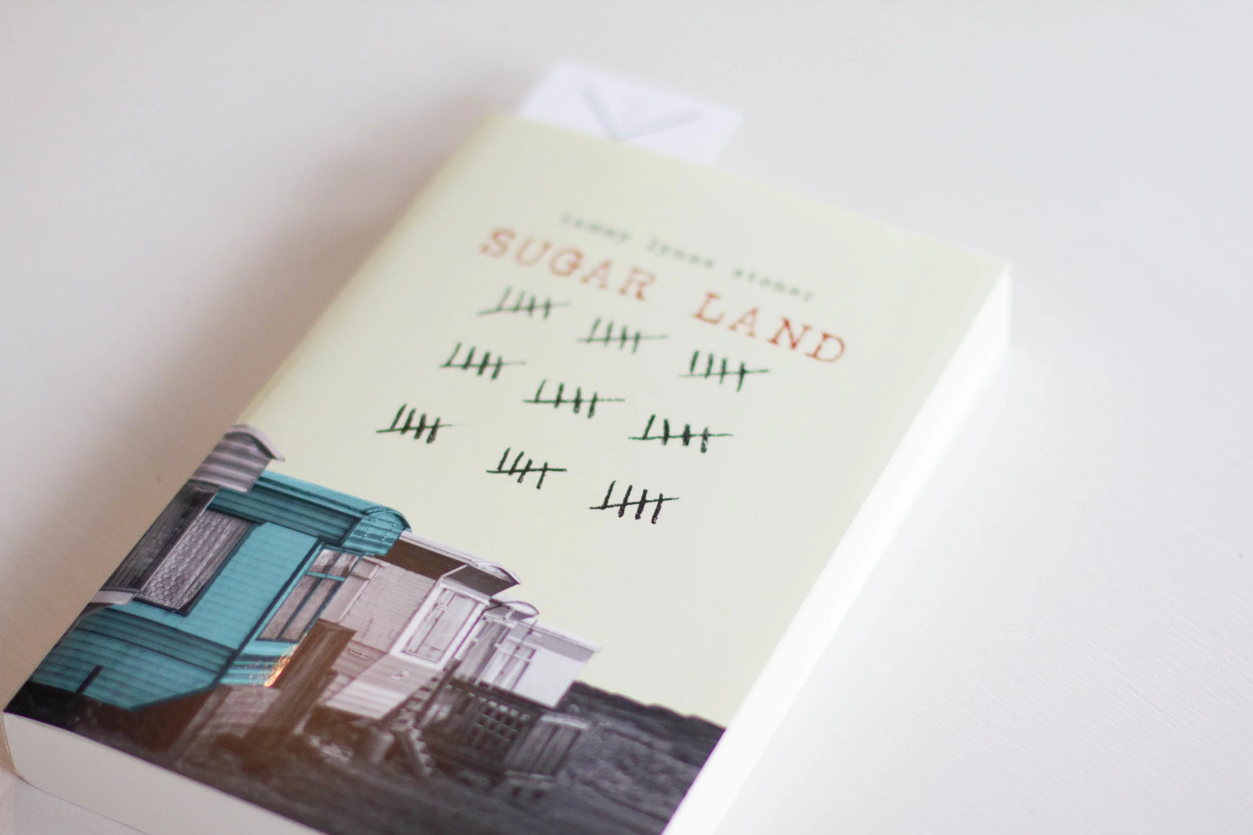 Book Feature - Sugar Land by tammy lynne stoner