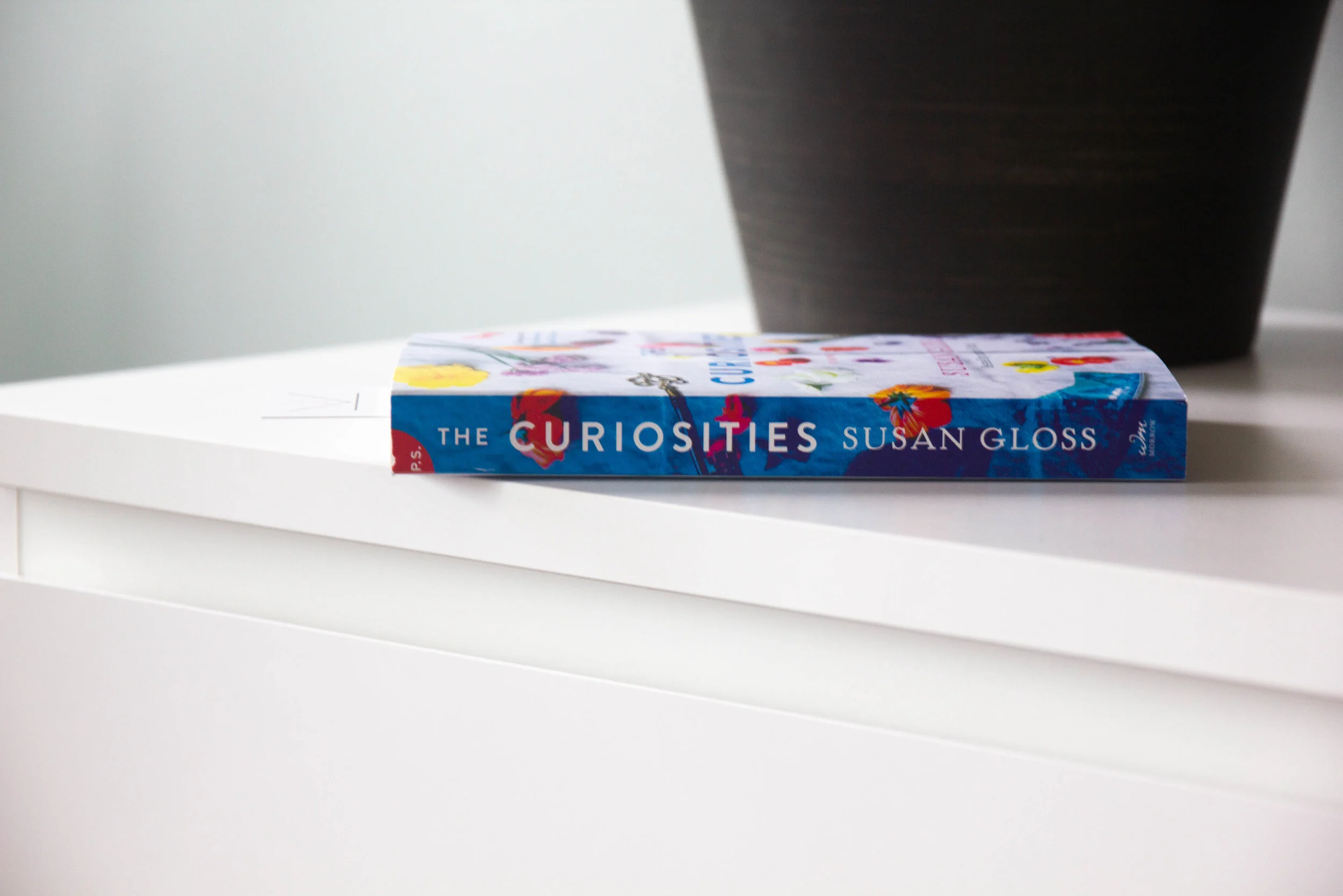 Book Feature - The Curiosities by Susan Gloss