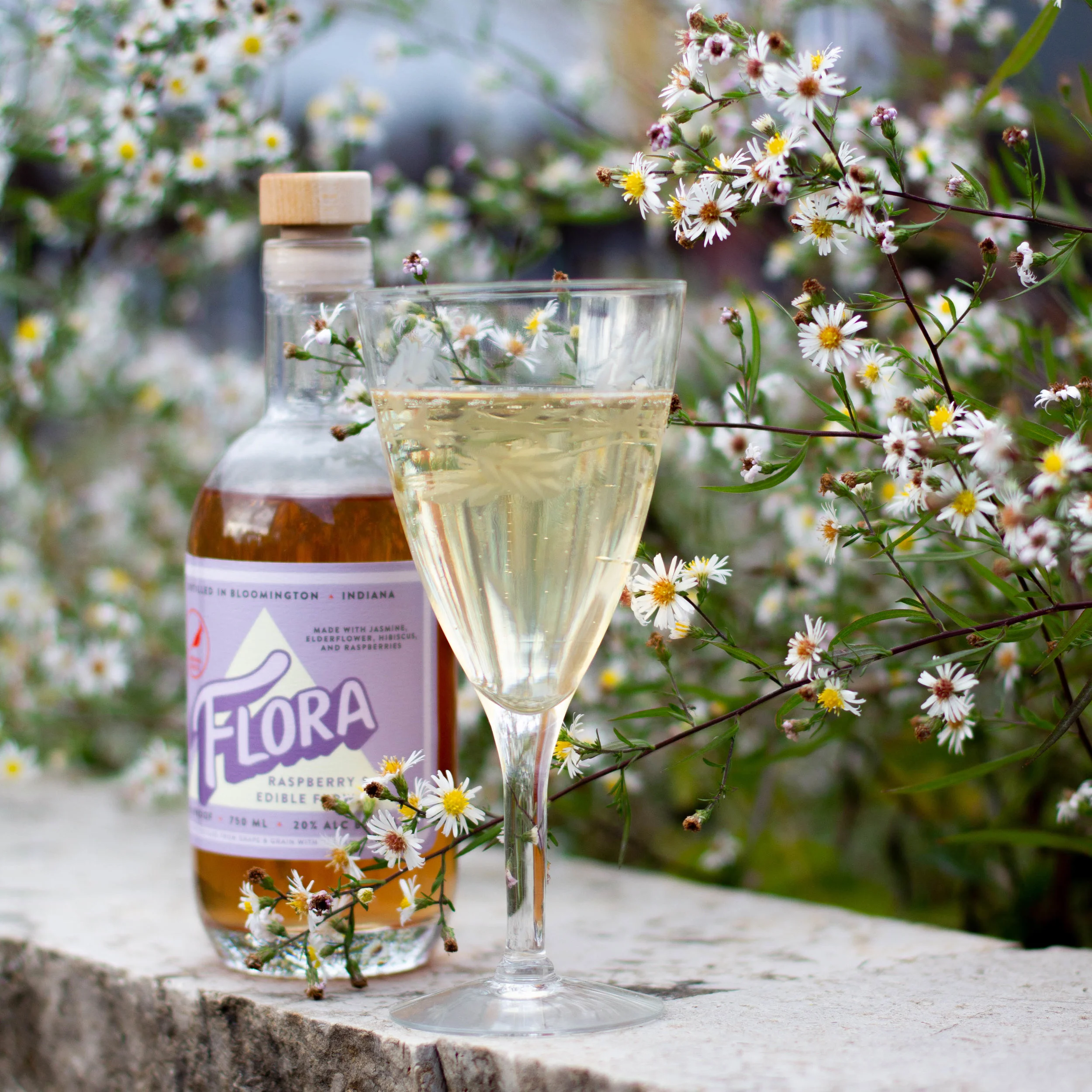 Flor-secco