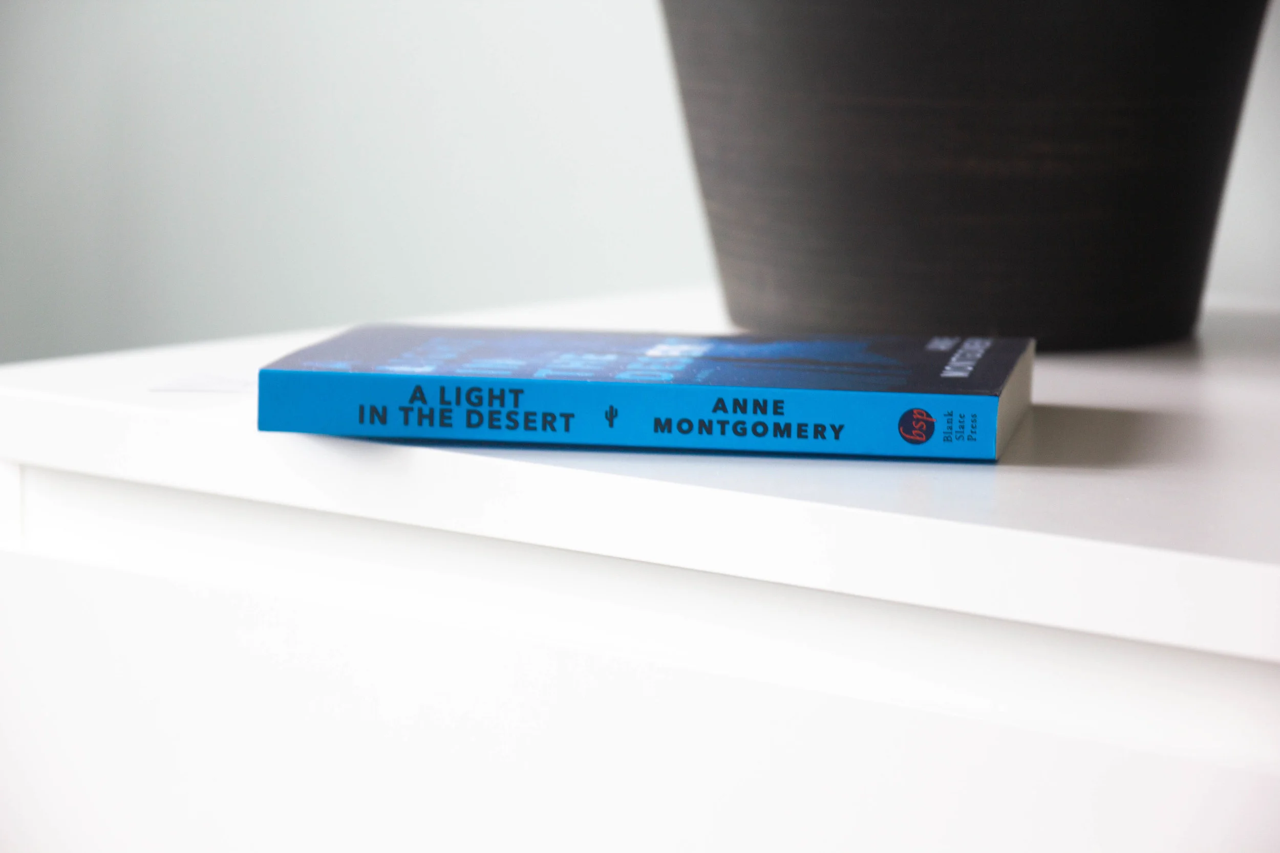 Book Feature - A Light in the Desert by Anne Montgomery