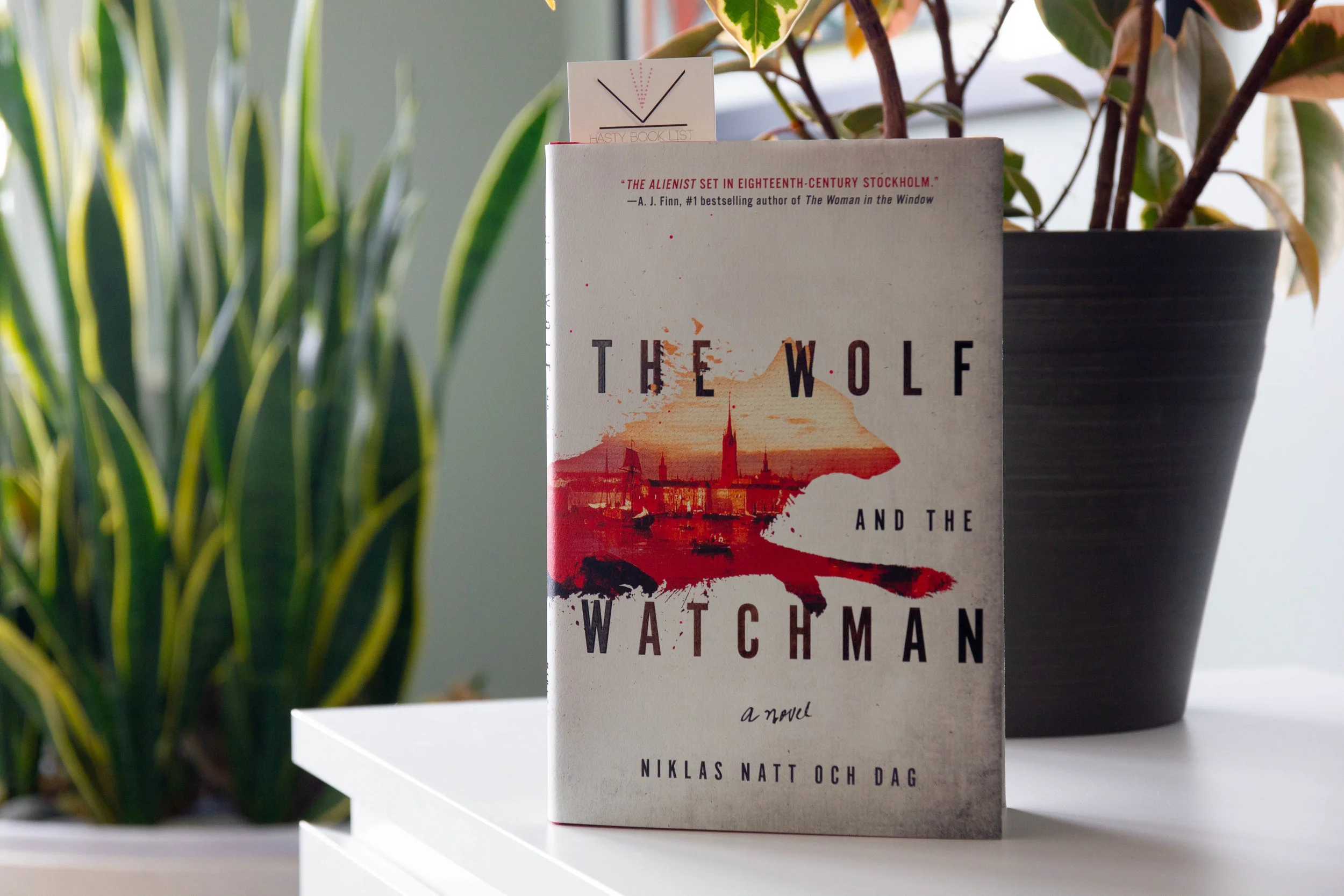 Book Feature - The Wolf and the Watchman by Niklas Natt och Dag