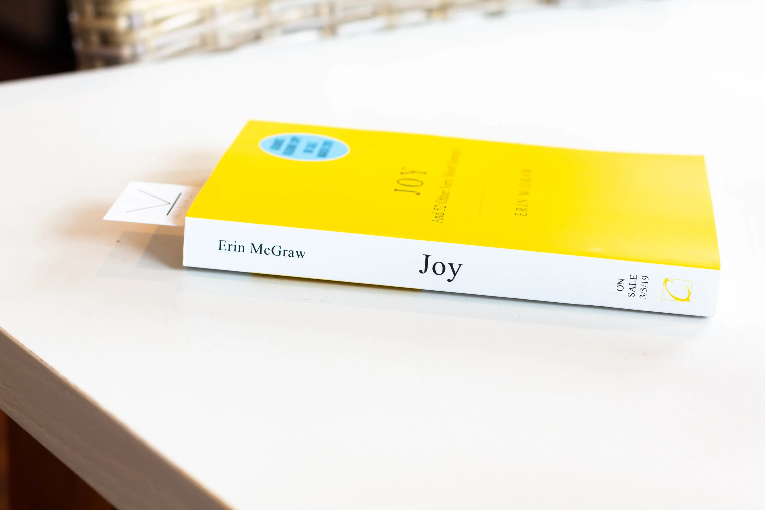 Book Feature - Joy by Erin McGraw