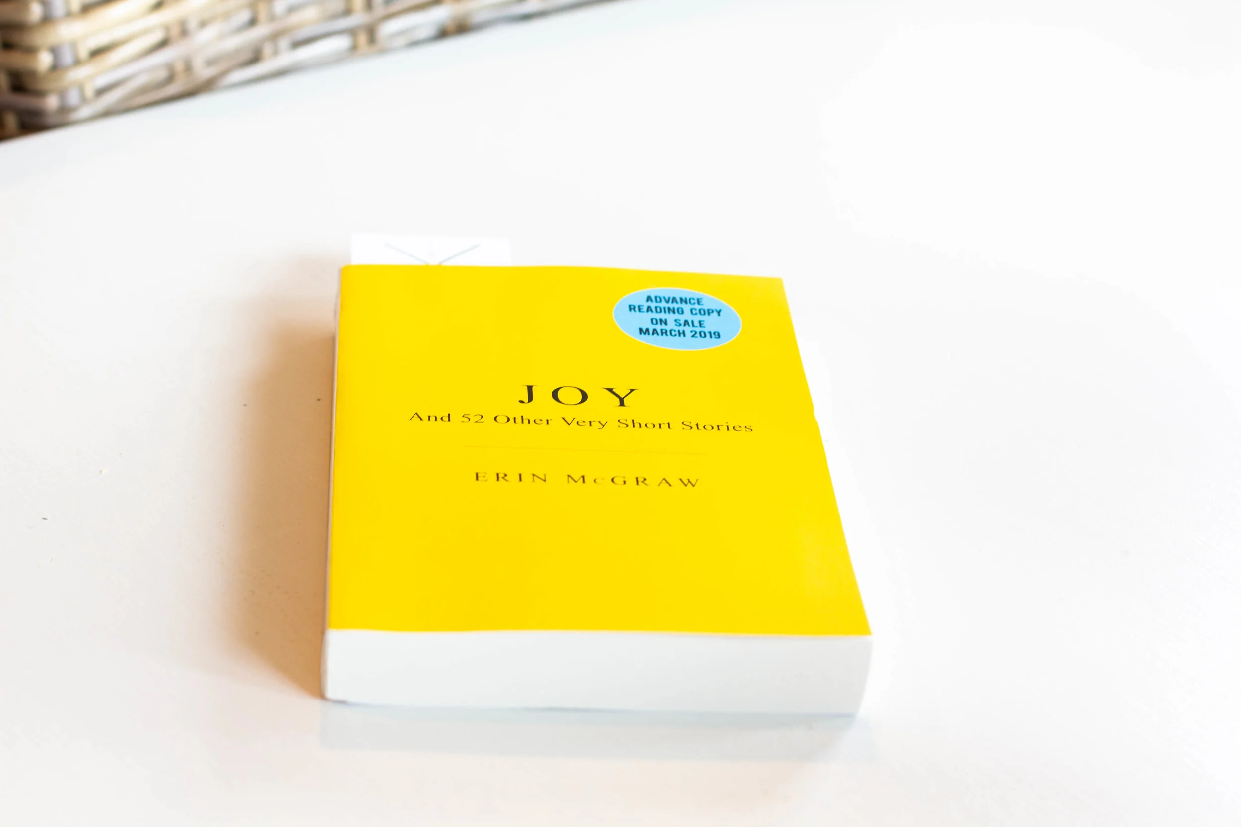 Book Feature - Joy by Erin McGraw