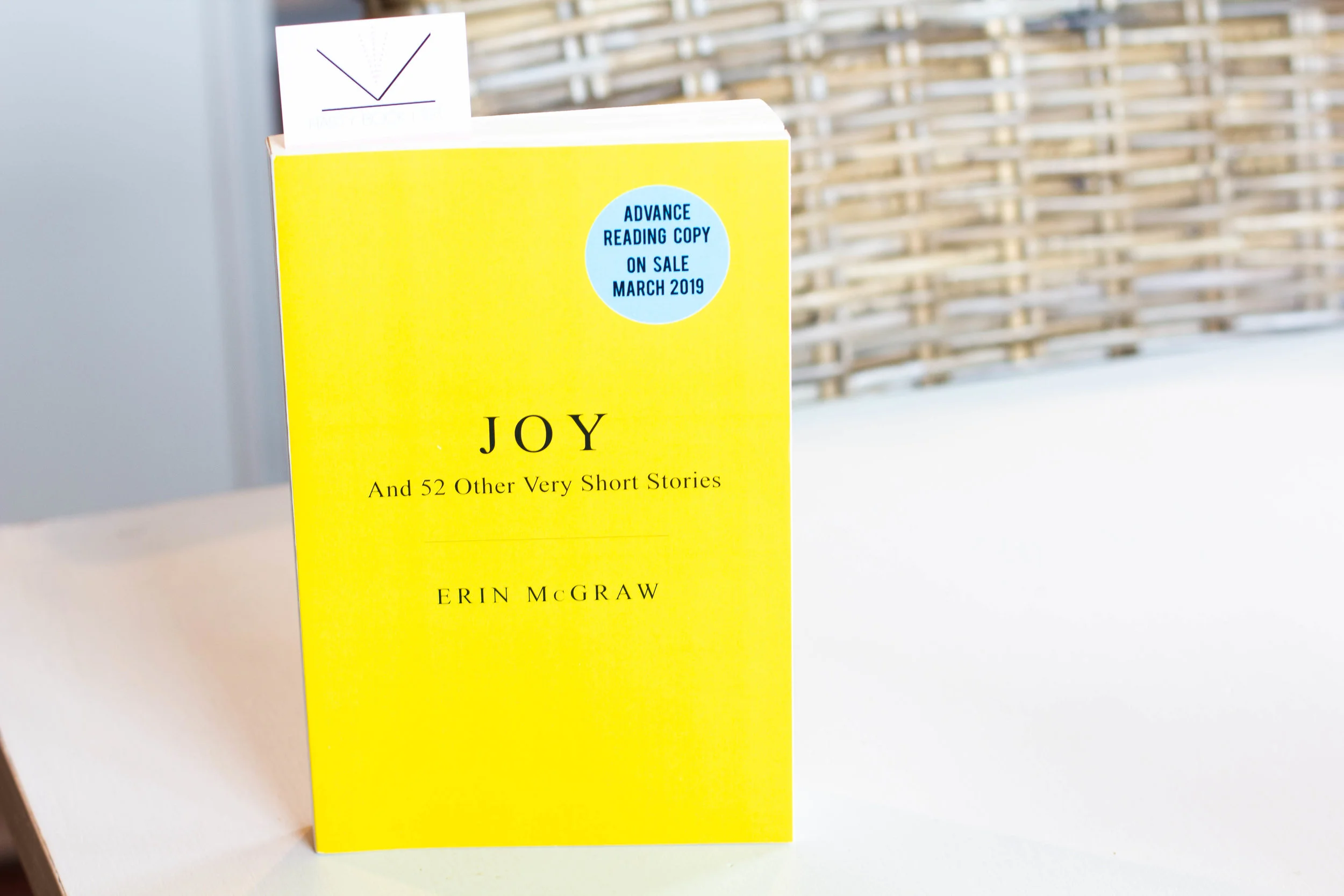 Book Feature - Joy by Erin McGraw