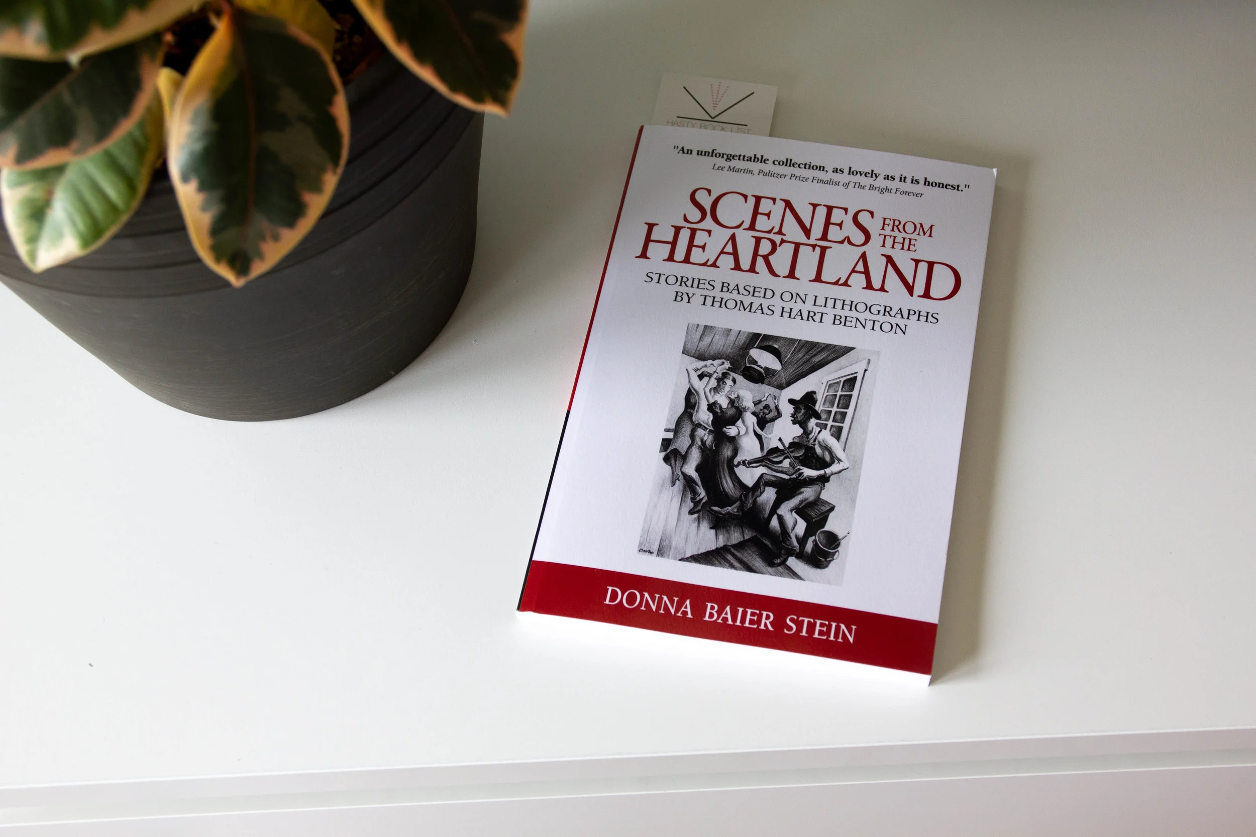 Book Feature - Scenes from the Heartland by Donna Baier Stein
