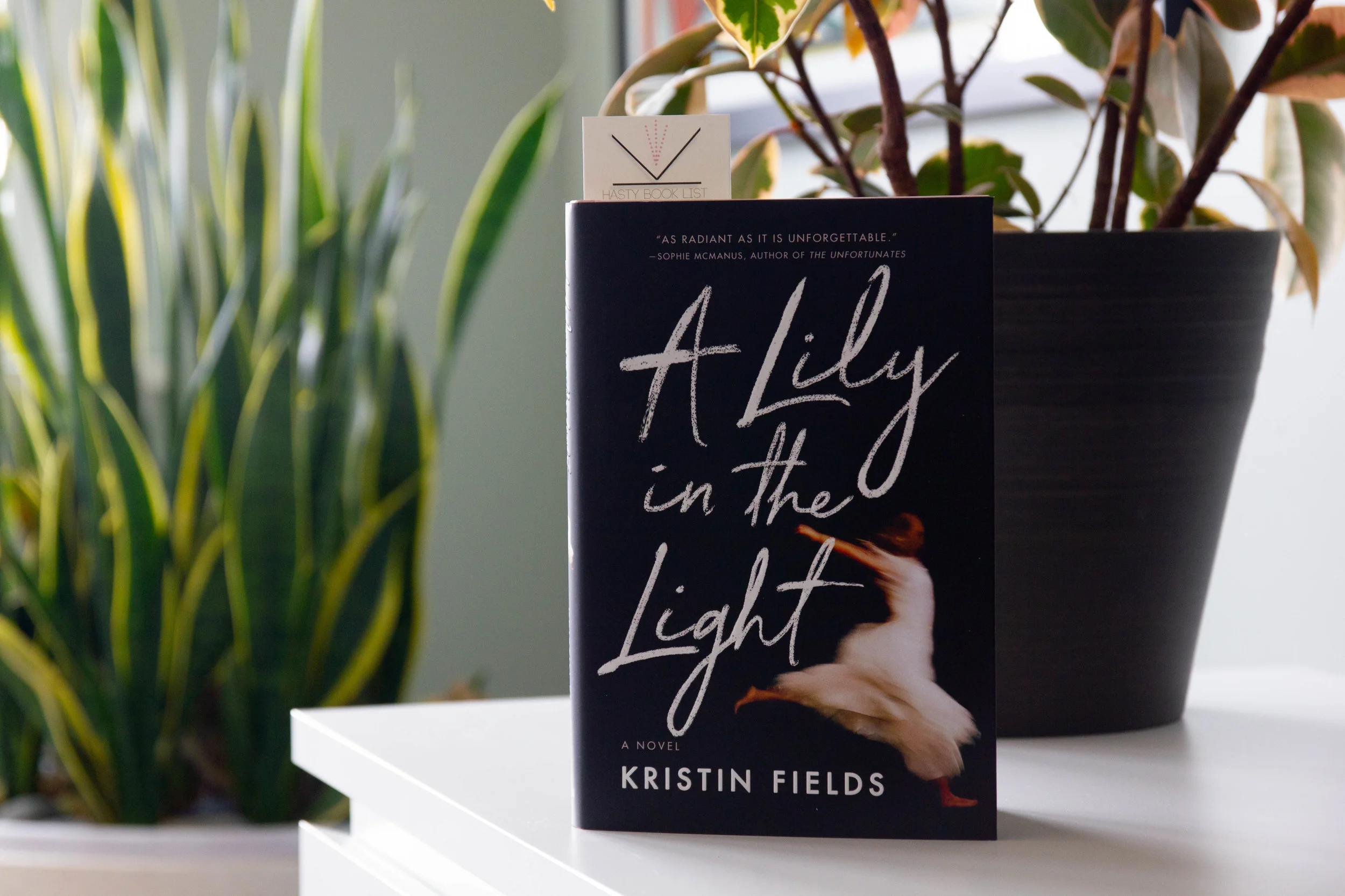 5 Books to Read in Celebration of National Library Workers Day