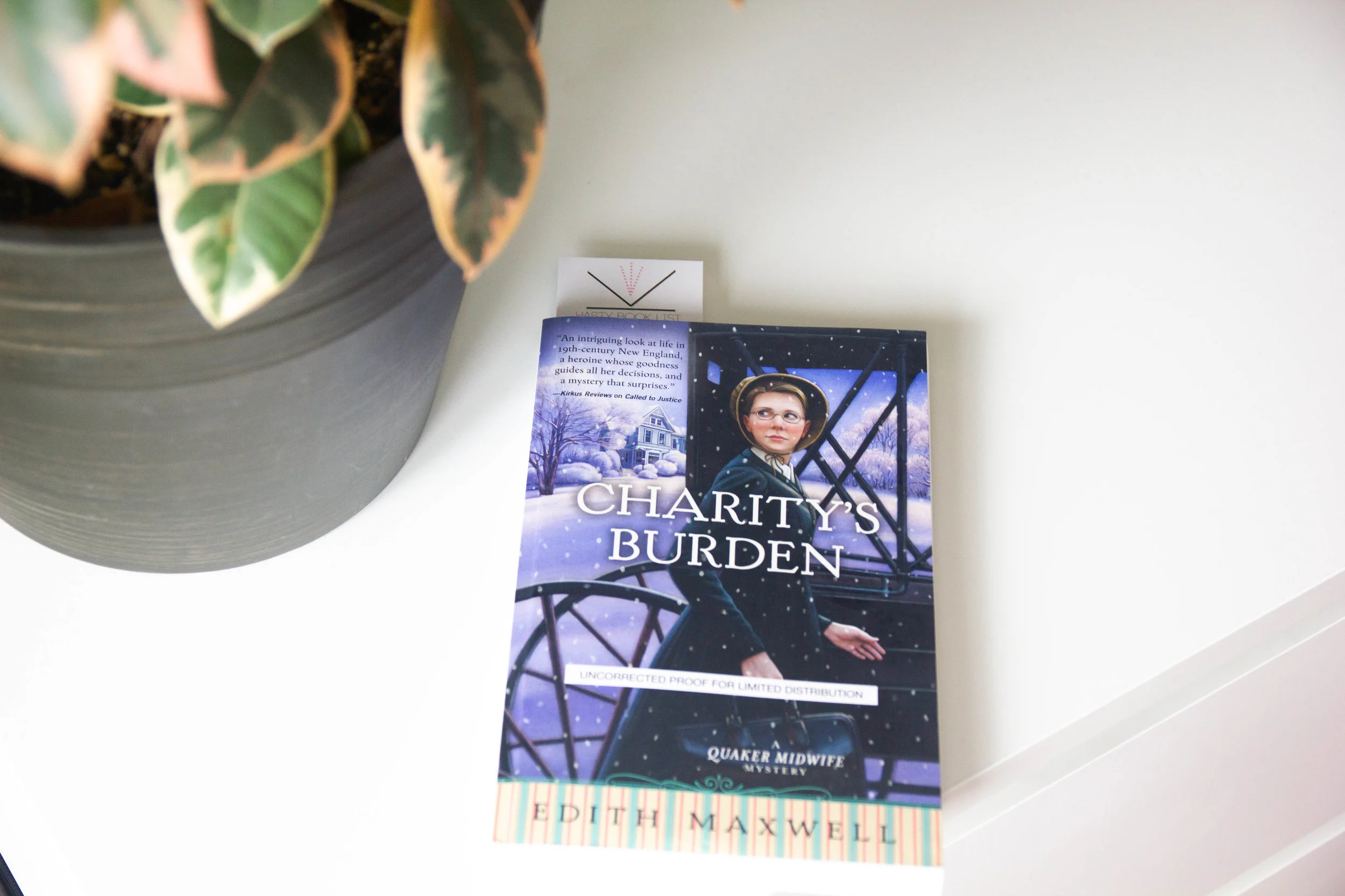 Book Feature - Charity's Burden by Edith Maxwell