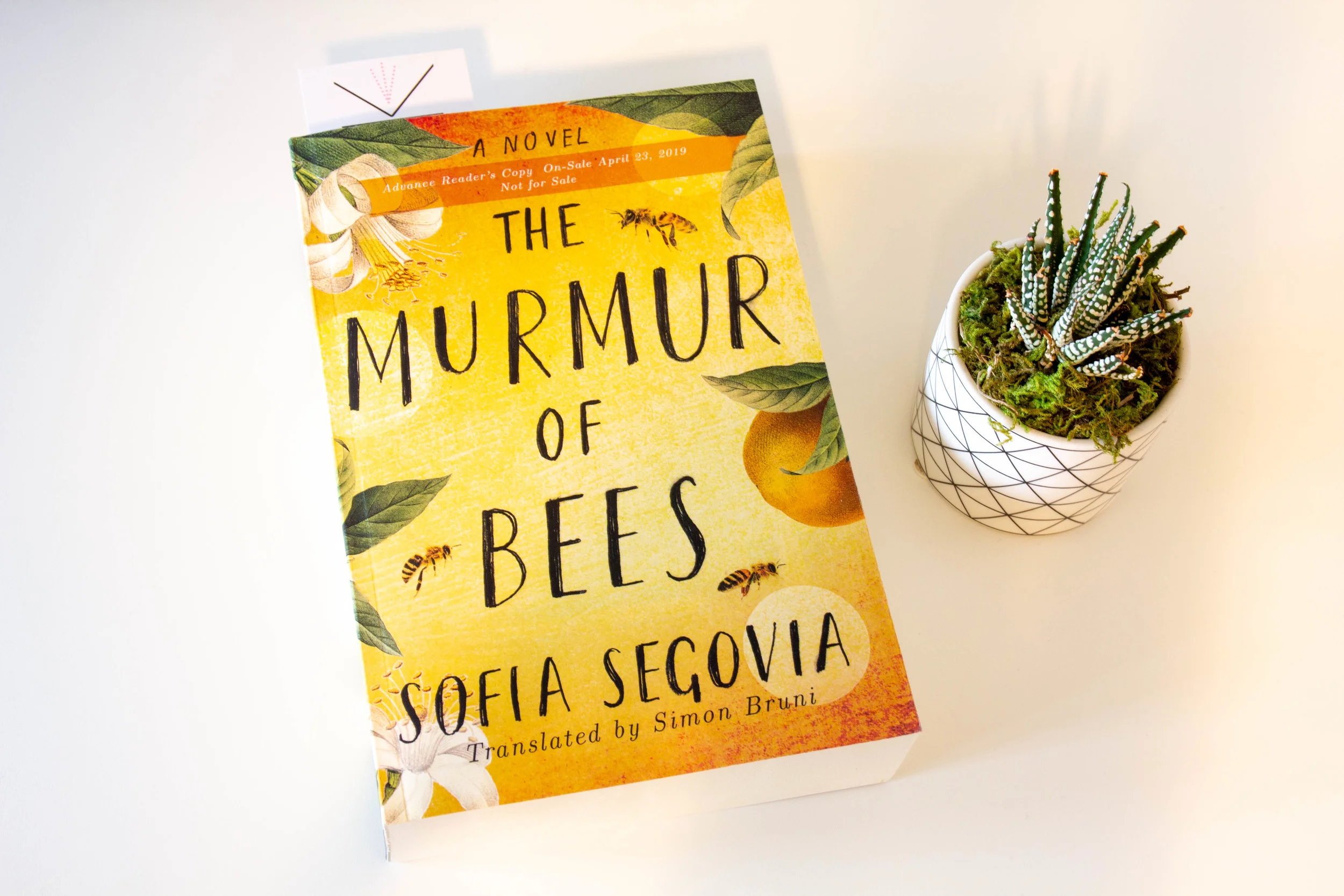Book Feature - The Murmur of Bees by Sofia Segovia