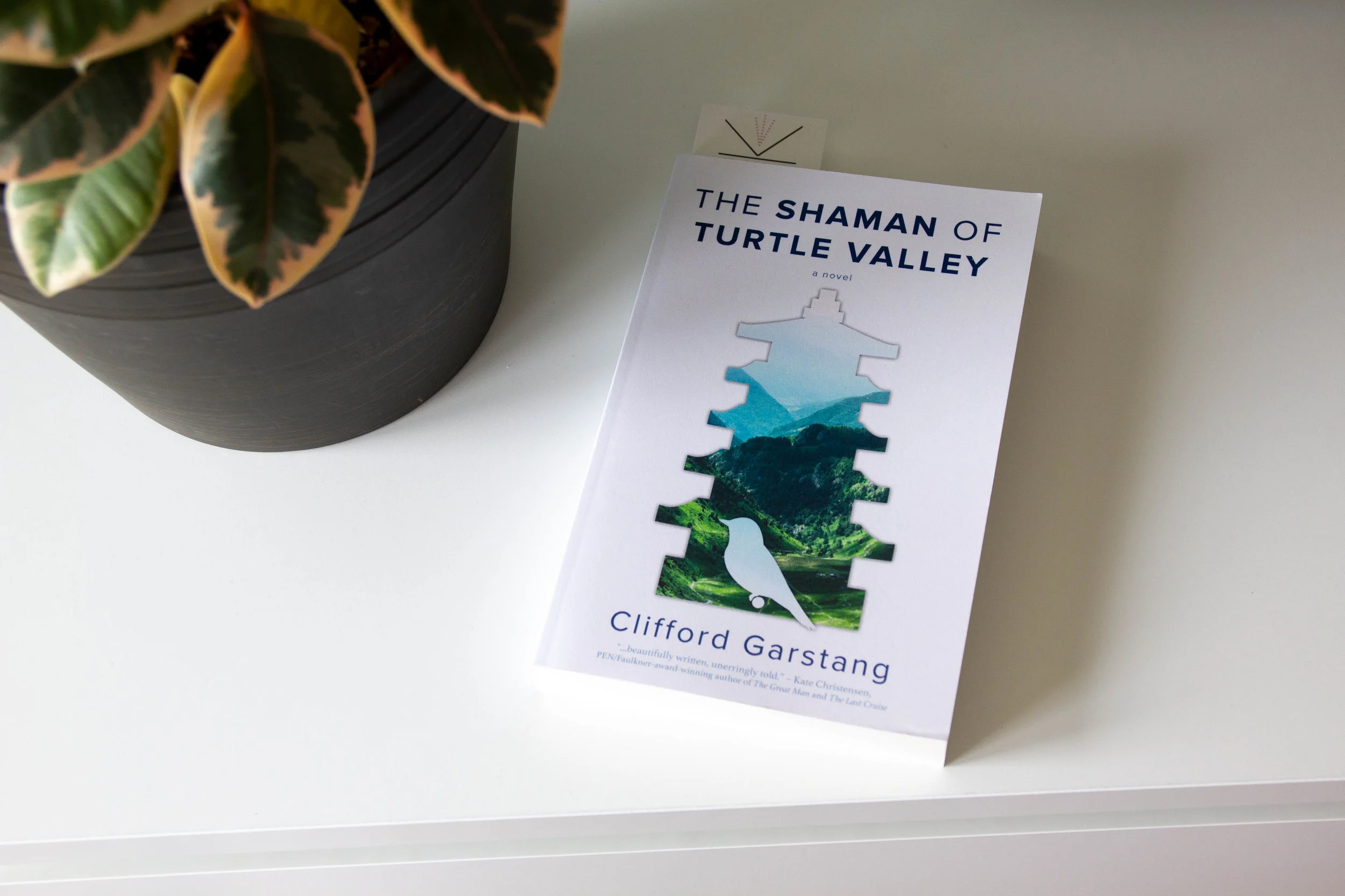 The Shaman of Turtle Valley by Clifford Garstang-3.jpg