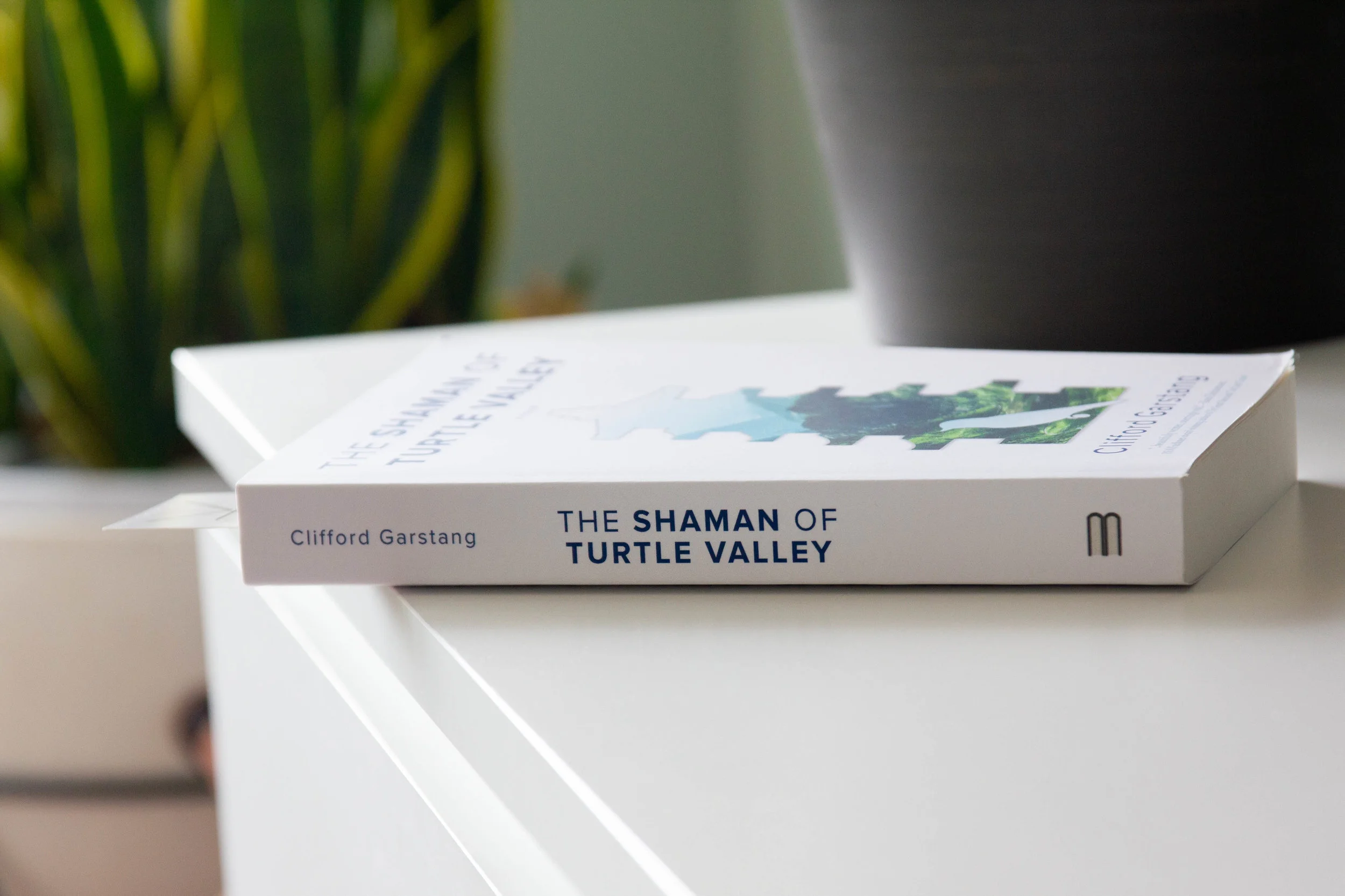 The Shaman of Turtle Valley by Clifford Garstang-2.jpg
