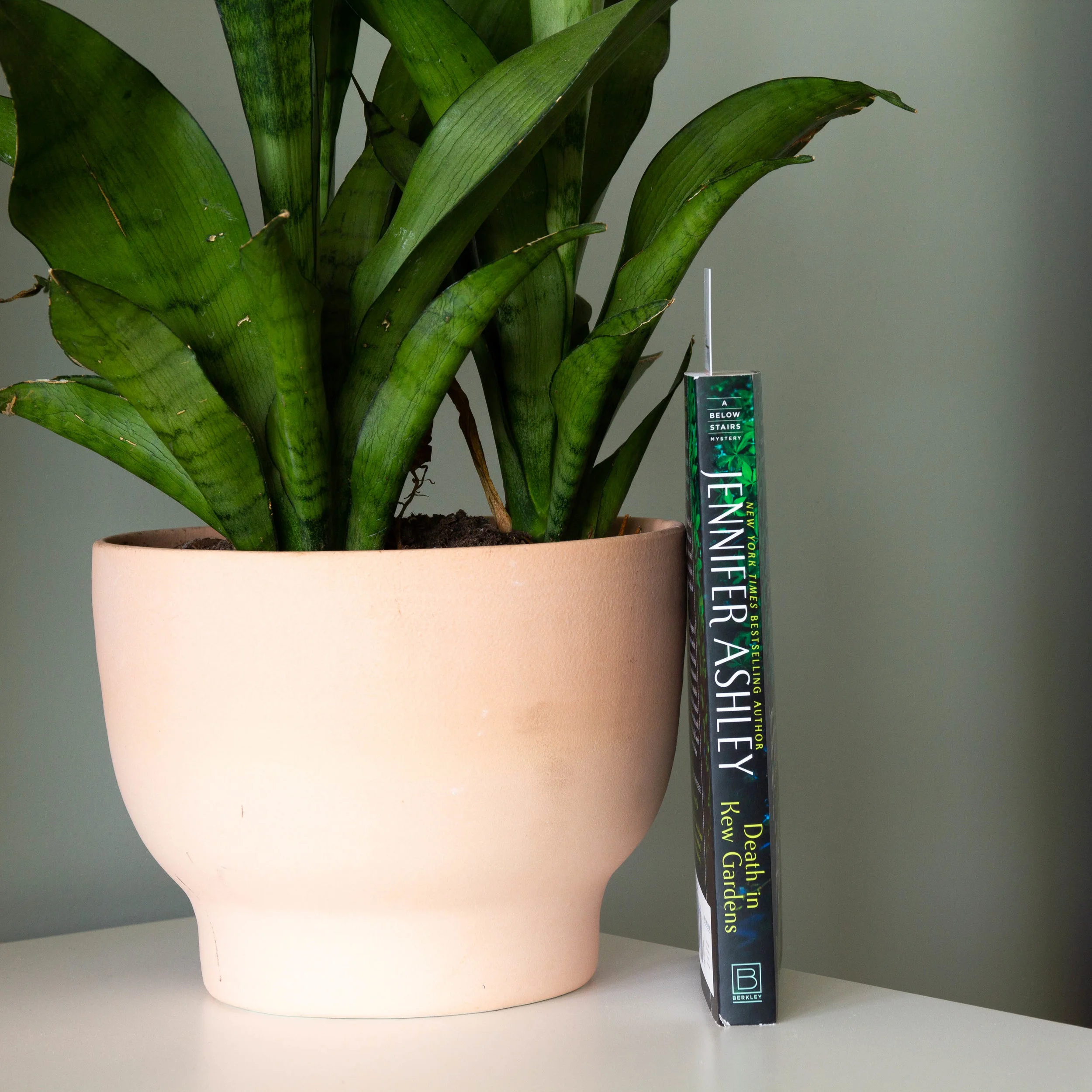 Book Feature - Death in the Kew Gardens by Jennifer Ashley