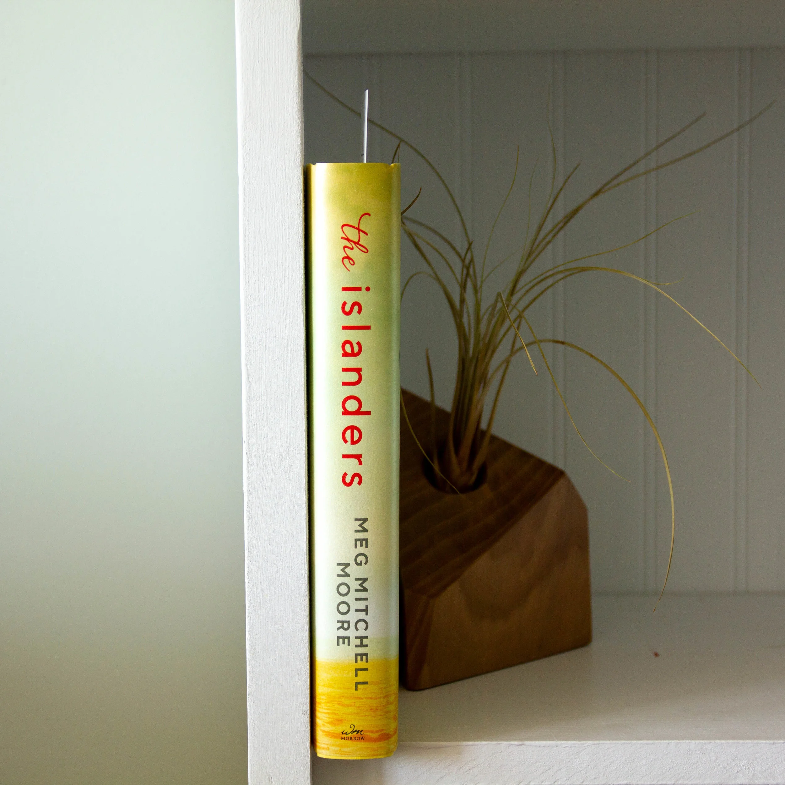 Book Feature - The Islanders by Meg Mitchell Moore