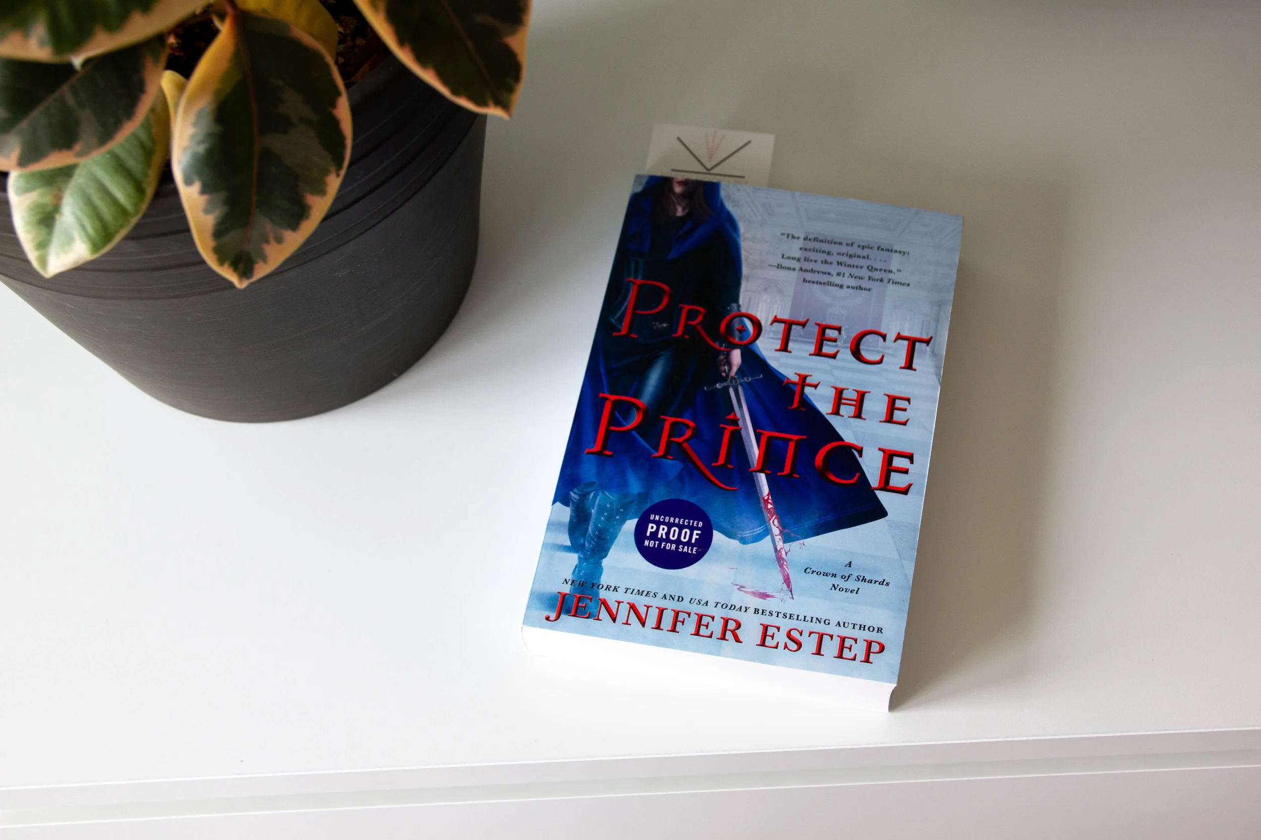 Book Feature - Protect the Prince by Jennifer Estep