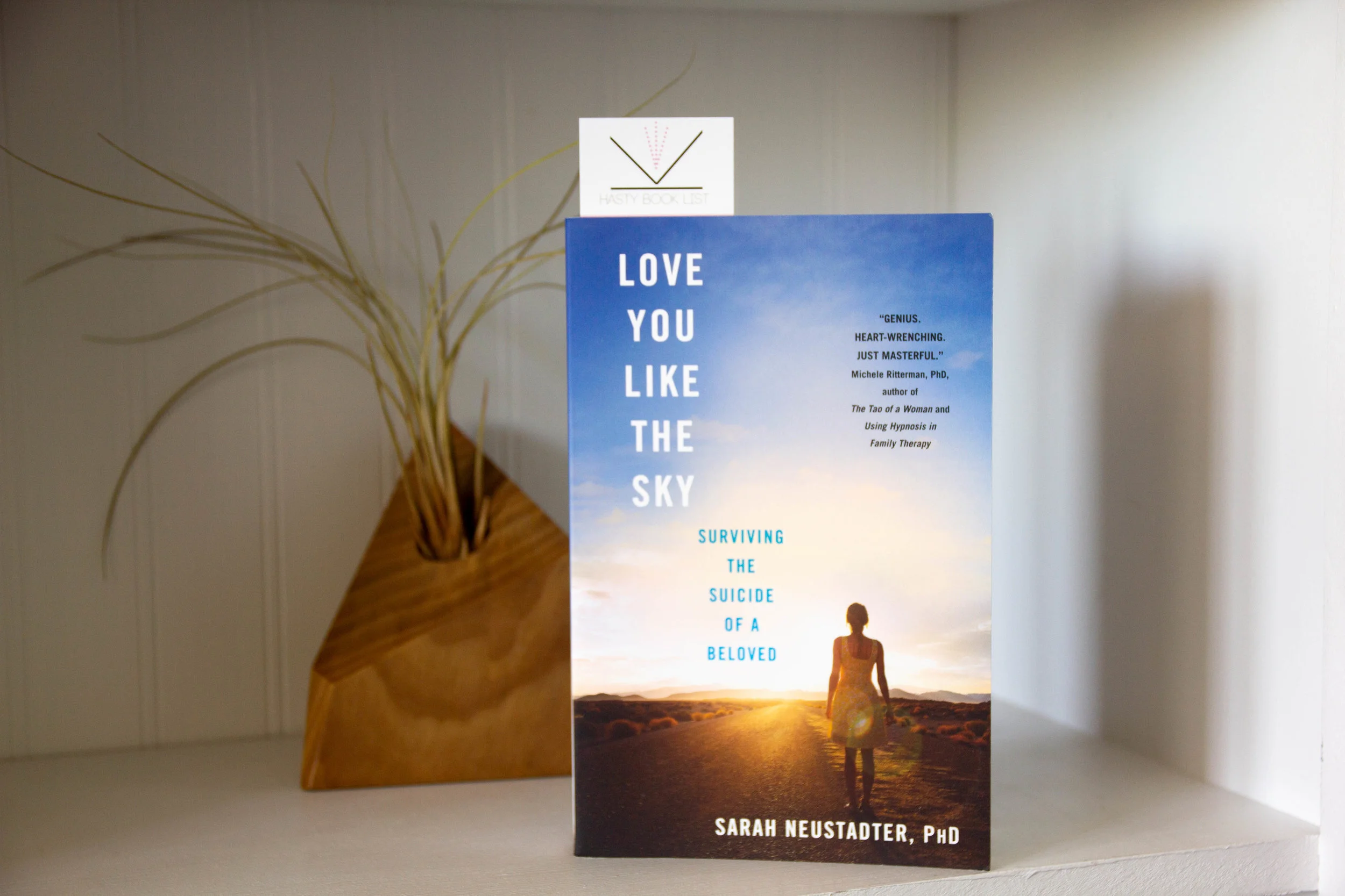 Book Feature - Love You Like the Sky by Sarah Neustadter
