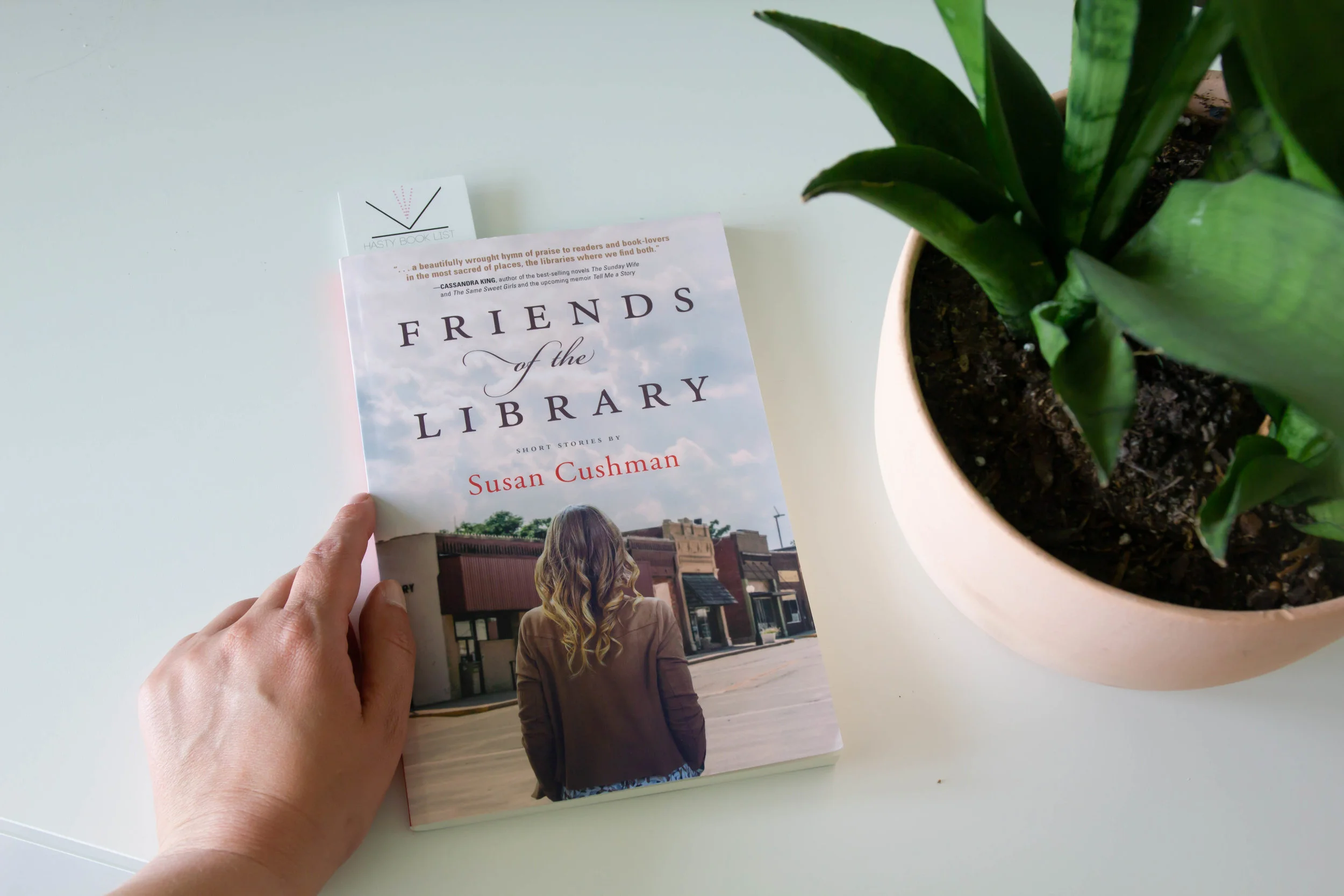 Friends of the Library by Susan Cushman-1.jpg