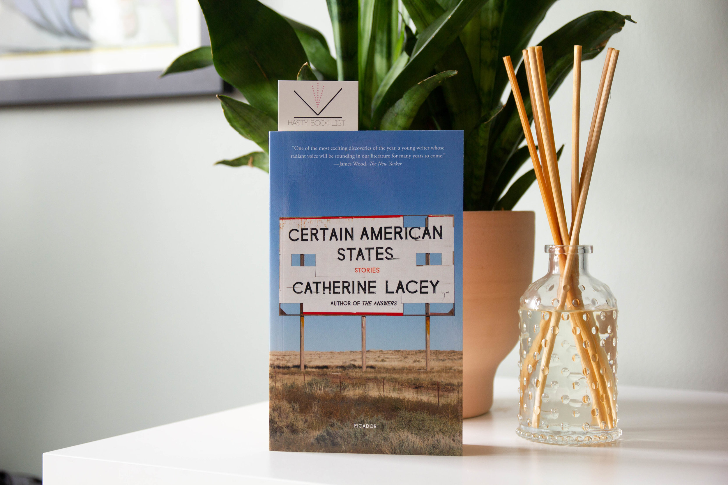 Certain American States by Catherine Lacey-1.jpg