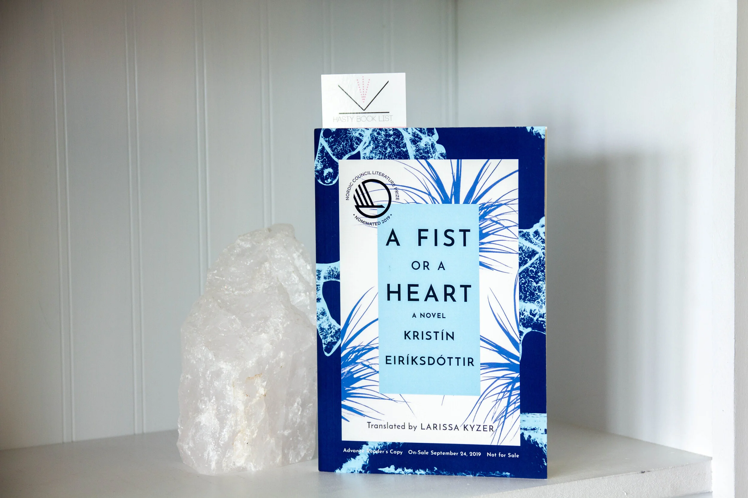 Book Feature - A Fist or a Heart