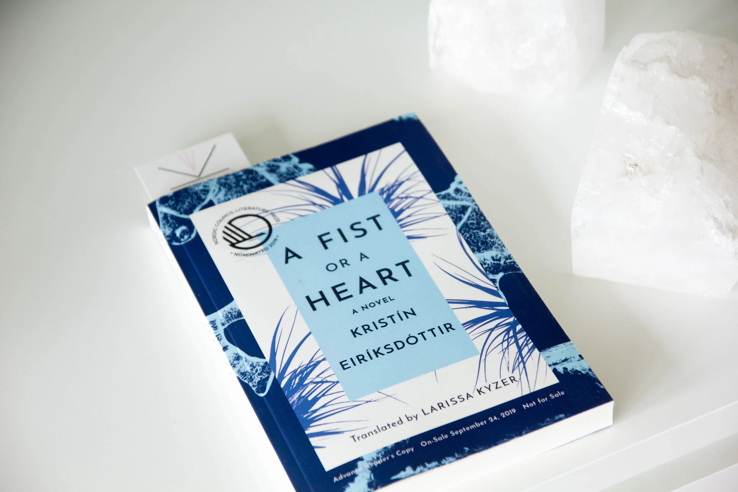 Book Feature - A Fist or a Heart