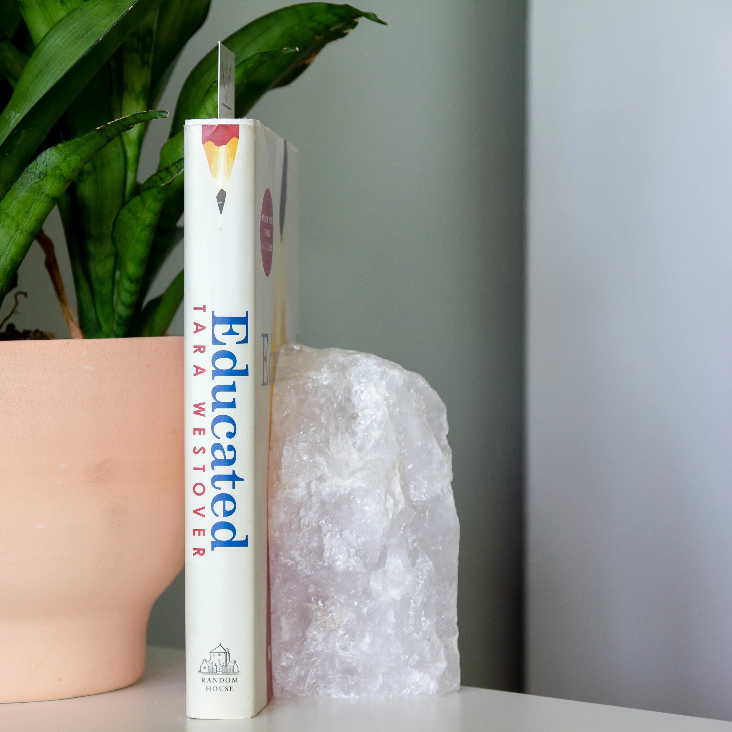 Book Review - Educated by Tara Westover
