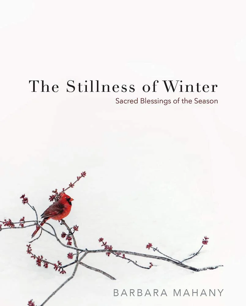 The Stillness of Winter