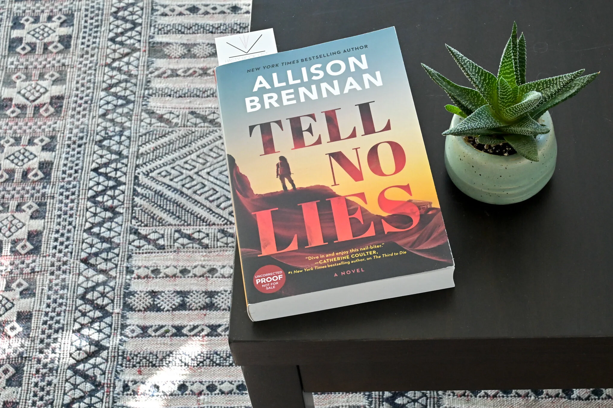 Book Feature Tell No Lies by Allison Brennan